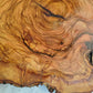 Rare Olive Wood Live Edge Slab – Unique Grain Sustainable Luxury for Epoxy Table & Craft - Olive Generic