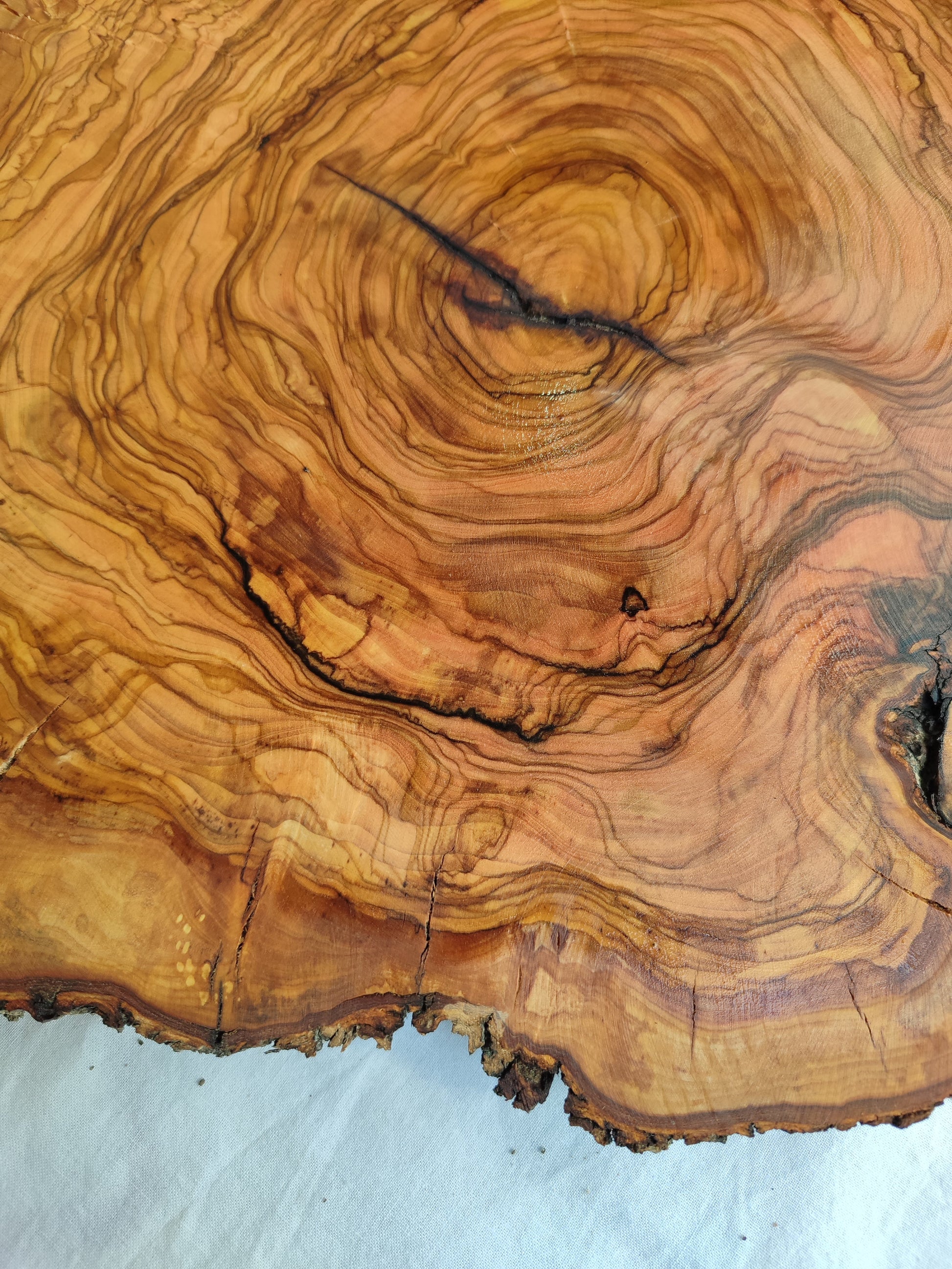 Rare Olive Wood Live Edge Slab – Unique Grain Sustainable Luxury for Epoxy Table & Craft - Olive Generic