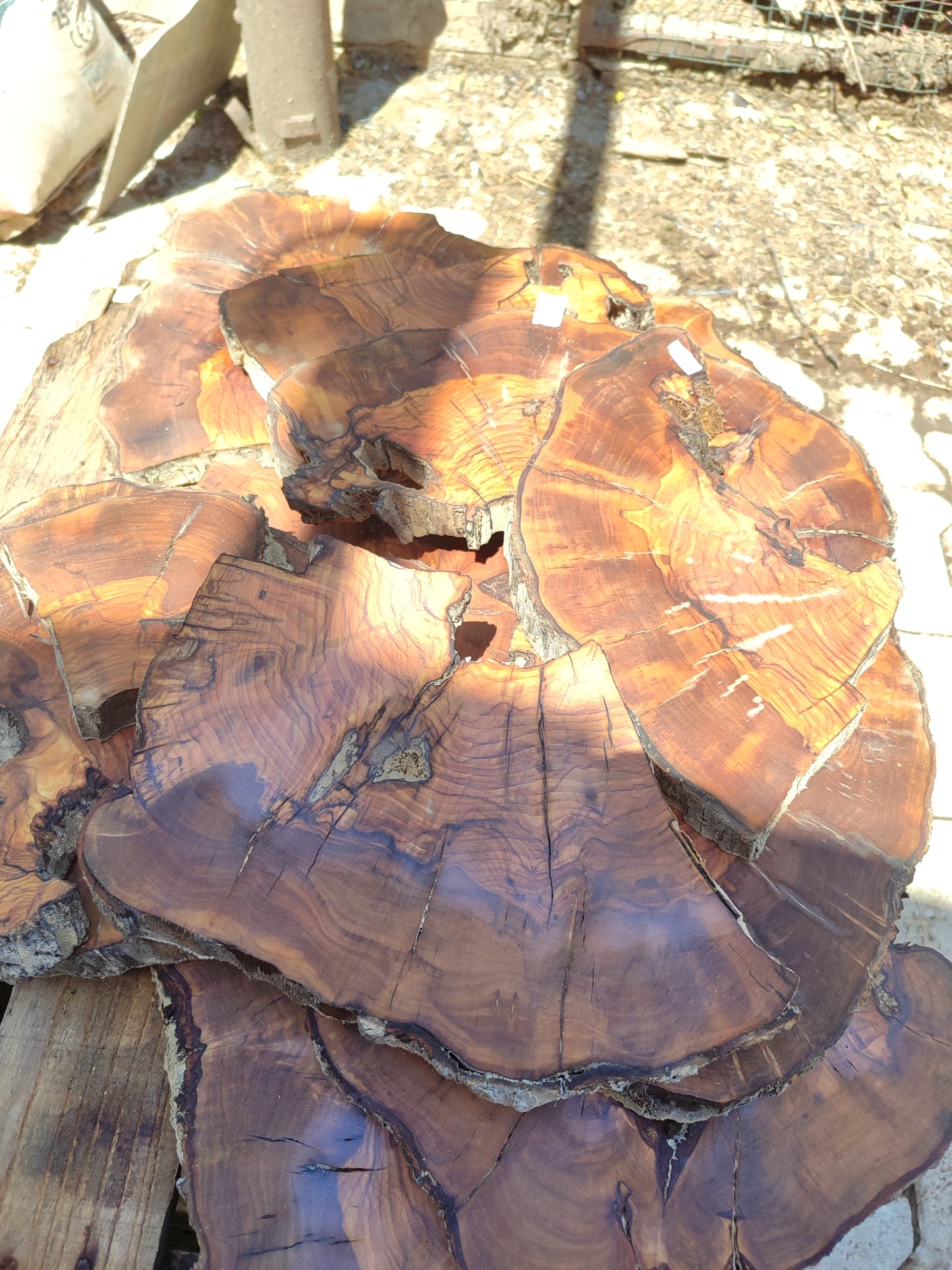 Wholesale Live Edge Olive Wood Slabs - Premium Sustainable Luxury, Unique Grain, 10x28x2.5cm for Epoxy & Crafts