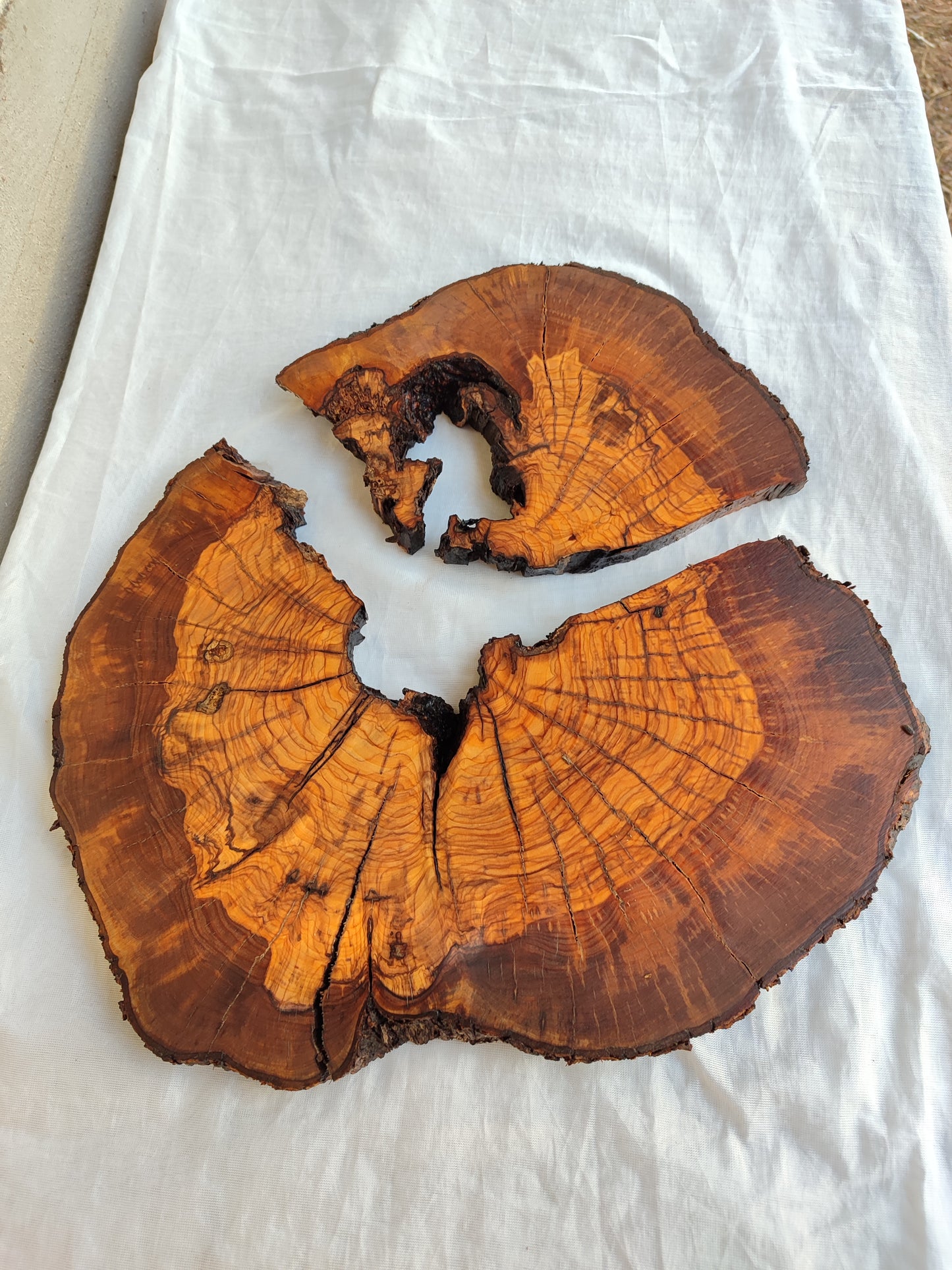 Rare Olive Wood Slab - Live Edge Slab, Unique Grain, Sustainable Luxury - 36x38x2.5 cm
