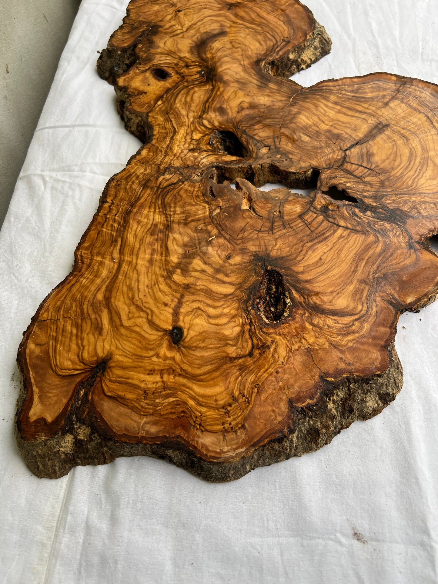 Rare Live Edge Olive Wood Slab 38x61cm - Premium Dry Luthier Lumber for Epoxy Resin Art, Coffee Tables & Unique Guitar Bodies.