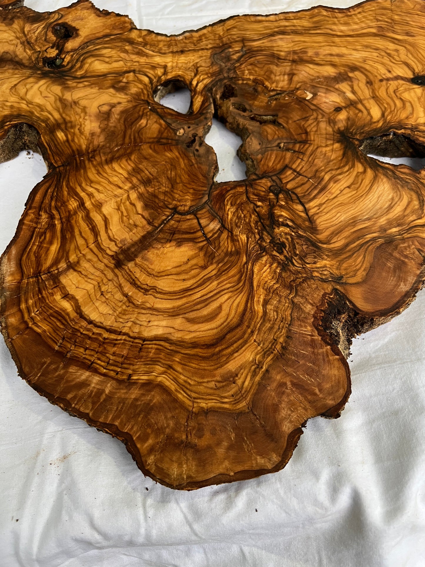 Rare Olive Wood Slab Live Edge 37x60cm | Unique Grain for Epoxy Resin & Coffee Table | Premium Luthier Wood | Sustainable Luxury Art.