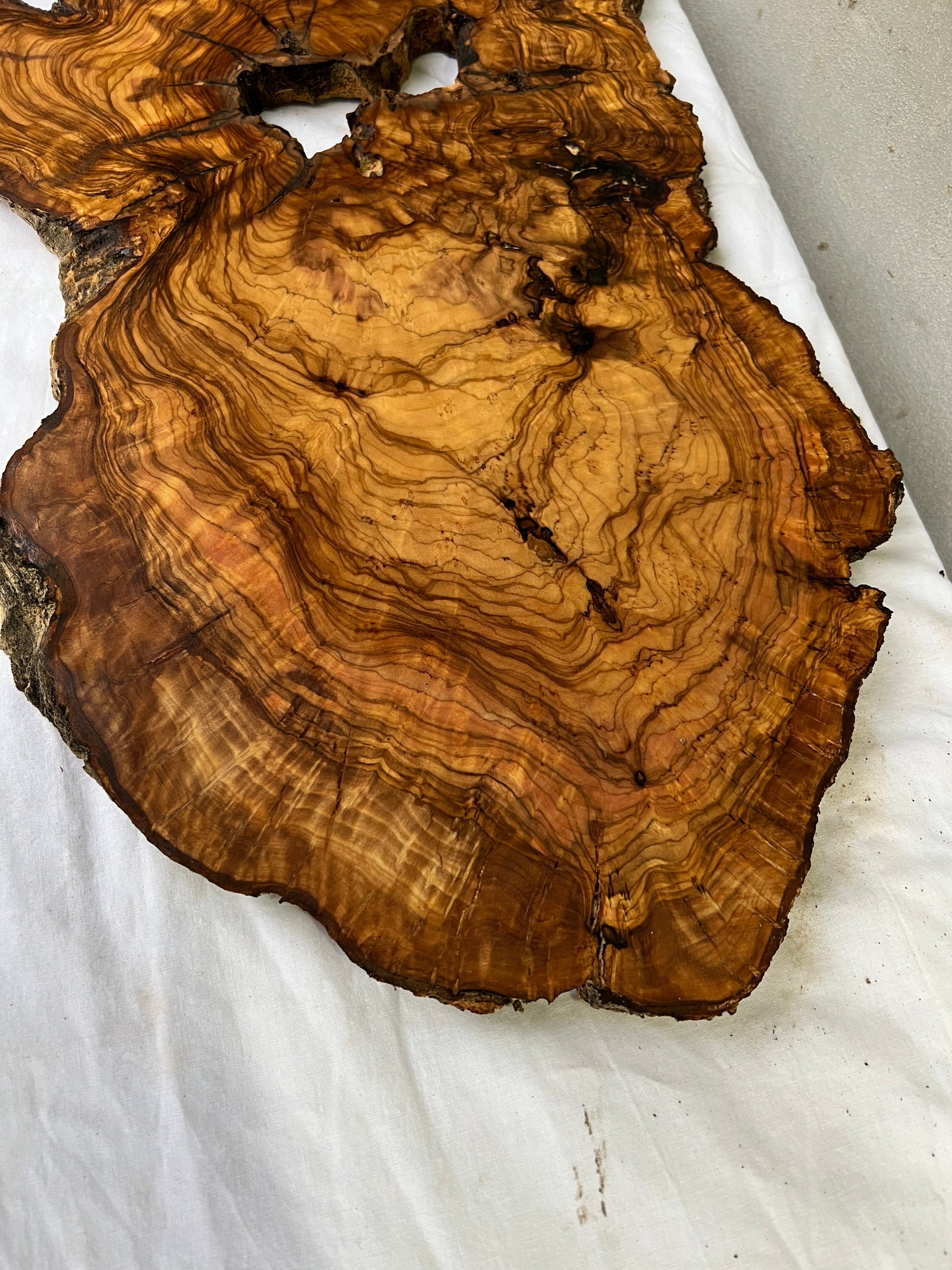 Rare Olive Wood Live Edge Slab 46x66cm - Super Dry Unique Grain for Epoxy Resin Art, Coffee Table & Luthier Craft - Sustainable Luxury.