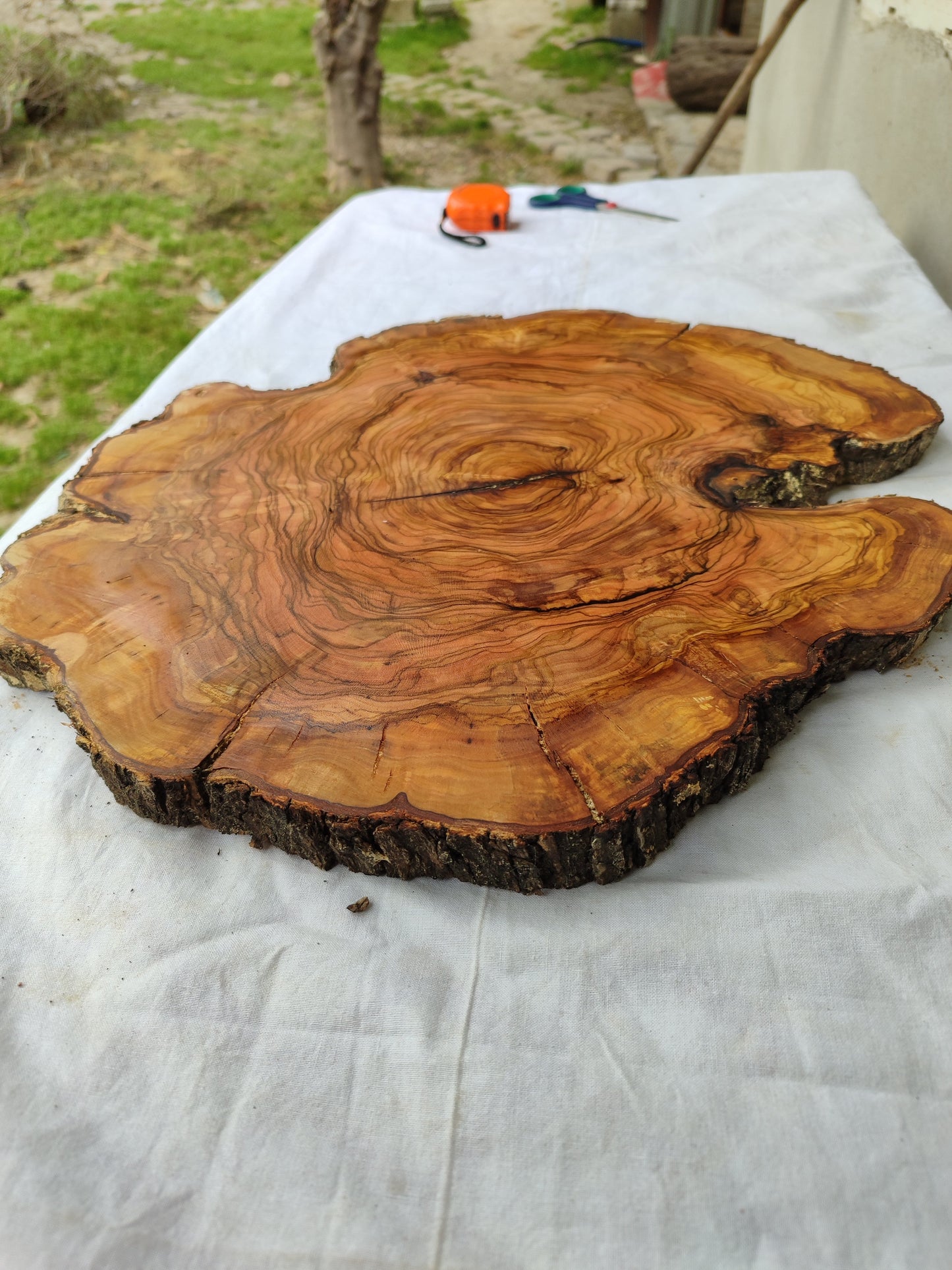 Rare Olive Wood Slab – Live Edge Unique Grain Sustainable Luxury – 40x42x2.5cm Premium Natural Luster - Olive Generic