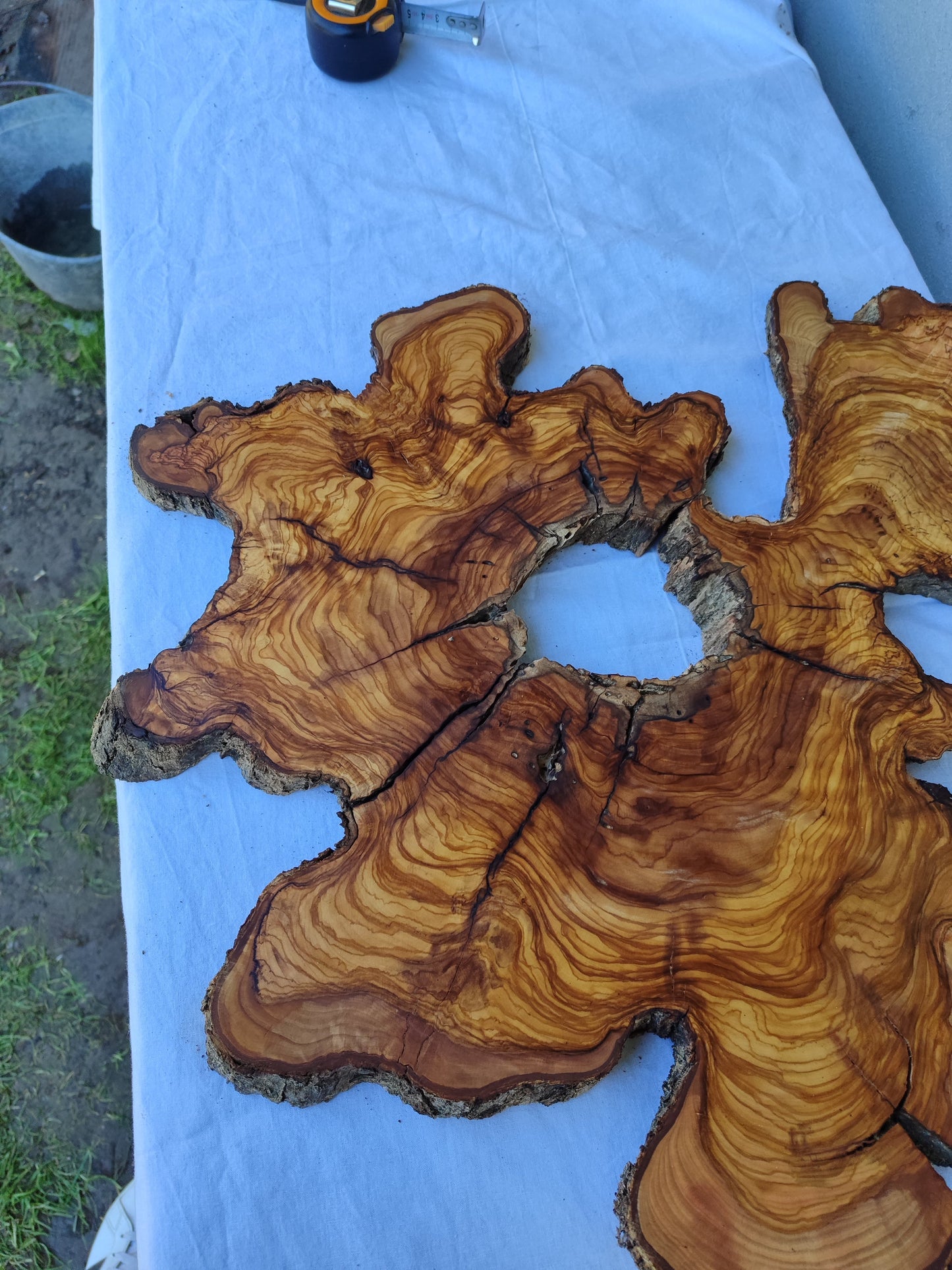 Rare Olive Wood Slab Set 2pcs 53x53cm - Super Dry 3% Moisture - Live Edge for Epoxy Resin, Guitar Body & Luxury Decor - Unique Grain.
