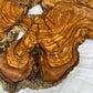 Rare Olive Wood Slab 53x30cm Live Edge for Epoxy Resin Art, Luxury Coffee Table & Clock Making | Super Dry 3% Moisture Unique Grain DIY.