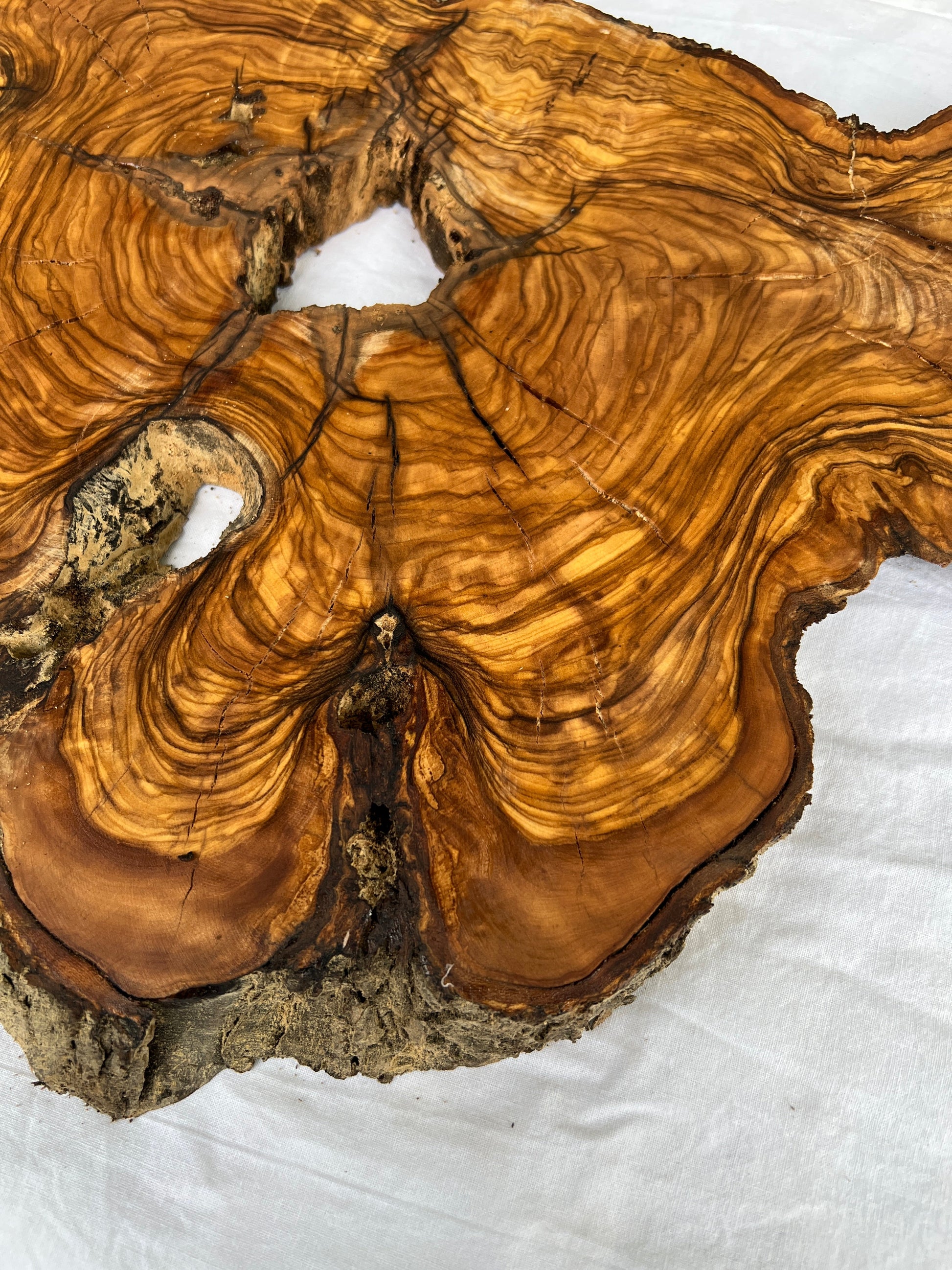 Rare Olive Wood Slab 53x30cm Live Edge for Epoxy Resin Art, Luxury Coffee Table & Clock Making | Super Dry 3% Moisture Unique Grain DIY.