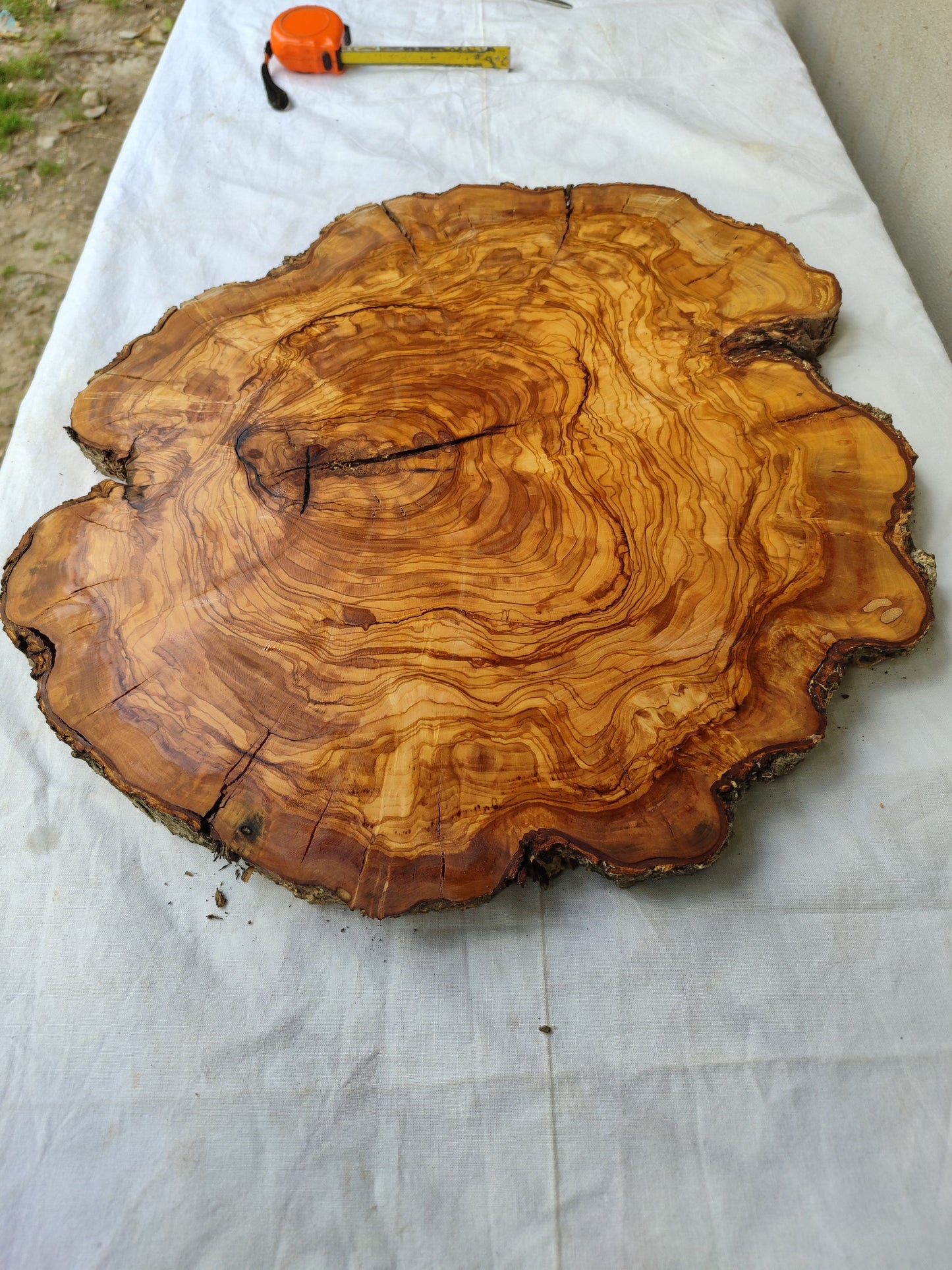 Rare Olive Wood Live Edge Slab – 40x44x3 cm Unique Grain Sustainable Luxury for Epoxy Table Clock & Crafts - Olive