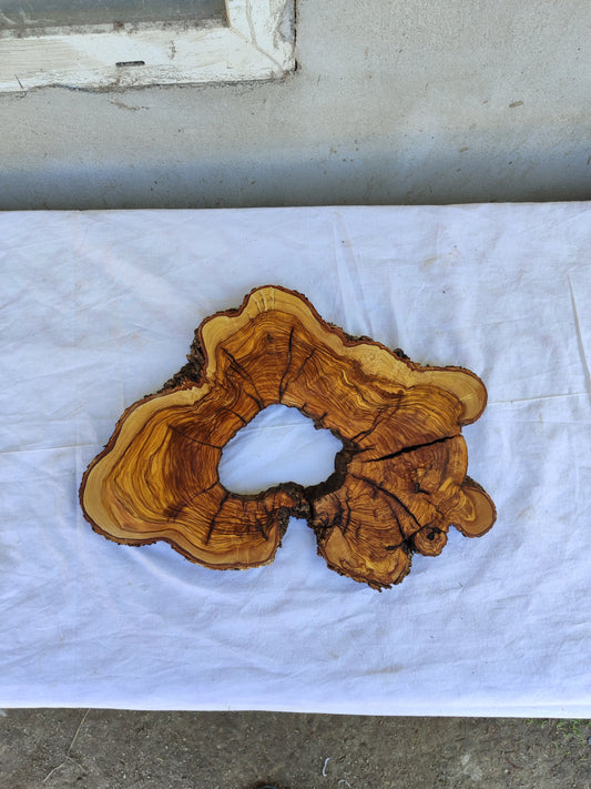 Rare Olive Wood Live Edge Slab 28x40cm | Exotic Epoxy Resin & Luthier Wood | Super Dry 3% Moisture | Sustainable Luxury