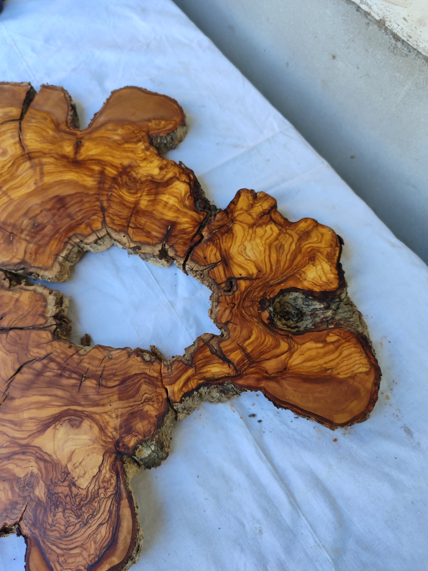 Rare Huge Live Edge Olive Wood Burl Slab 48x52cm - Premium Dry Exotic Lumber for Epoxy Resin Art, Guitar Body & Luxury Coffee Table DIY.