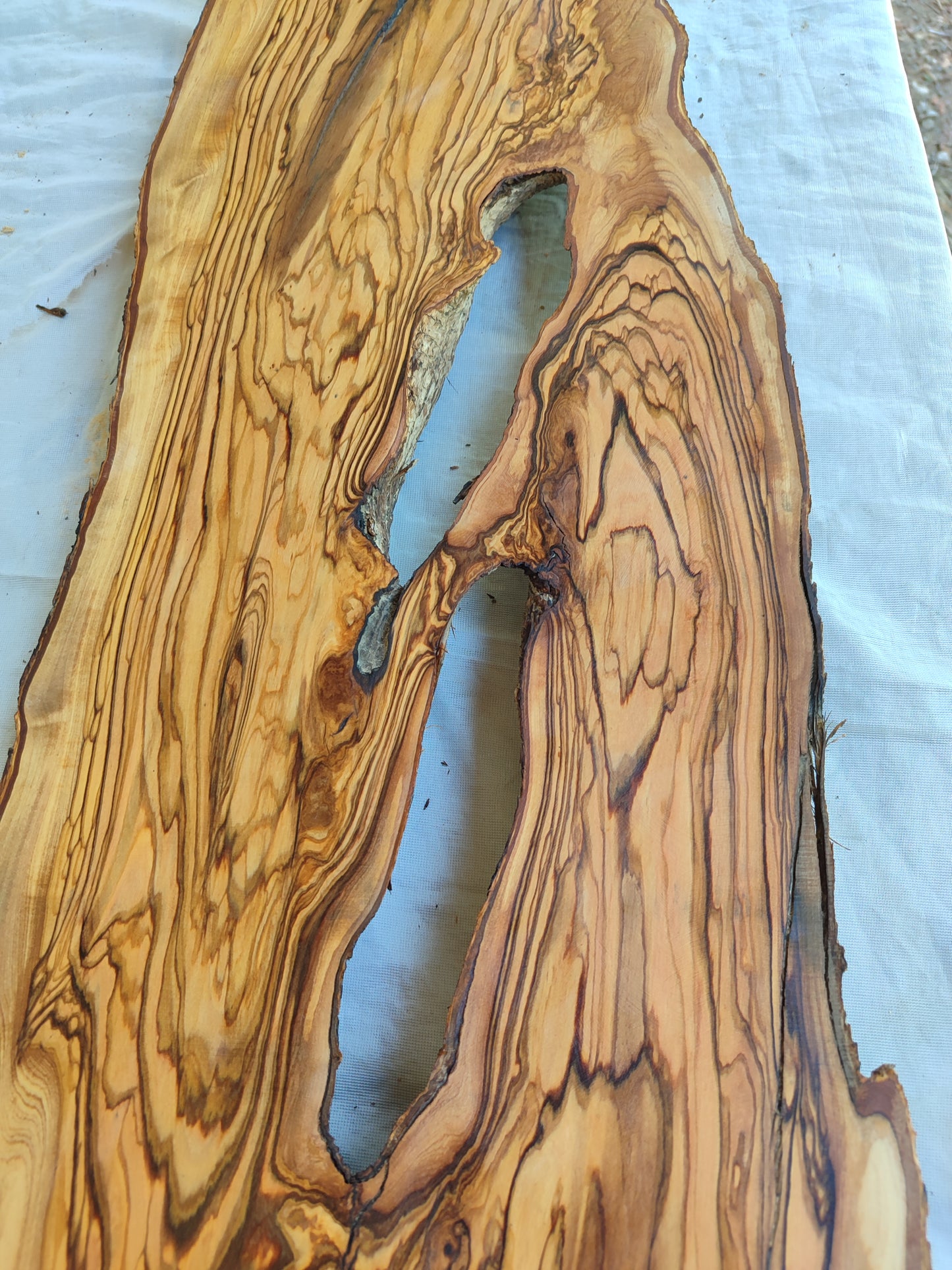 Rare Live Edge Olive Wood Slab – Unique Grain, Sustainable Luxury for Epoxy, Table & Crafts