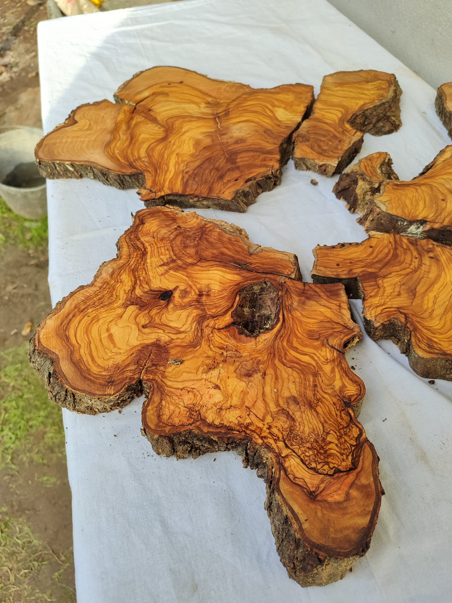 Rare Olive Wood Slab 23"x23" | Live Edge Epoxy Table Top | Premium Luthier Wood | Dry Exotic Lumber | Unique Grain DIY Art 58x59cm.