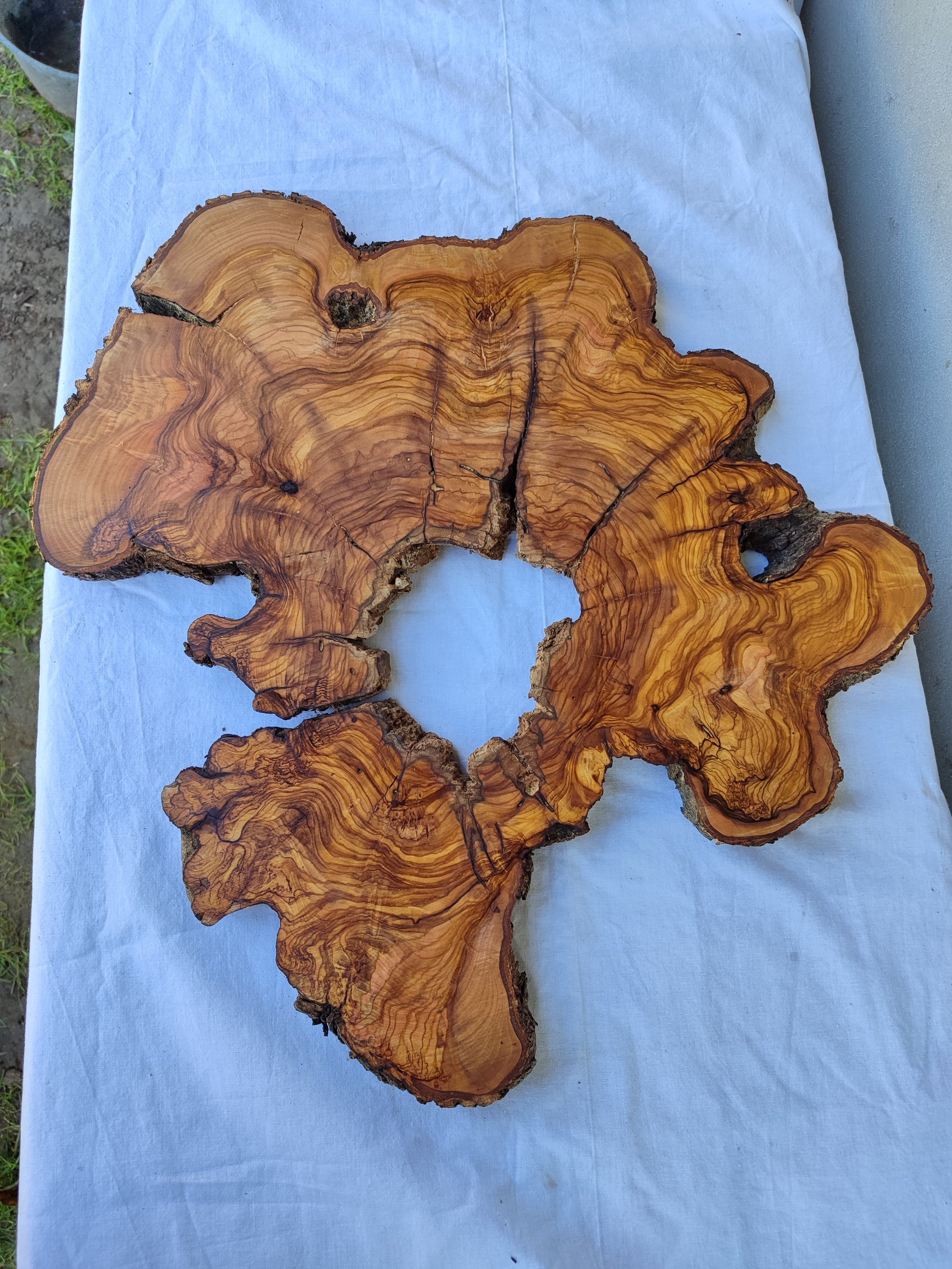 Rare Olive Wood Slab 51x51cm | Live Edge for Epoxy Resin & Coffee Table.