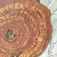 Rare Olive Wood Slab – Live Edge, Unique Grain, Sustainable Luxury – 33x39x2.5cm