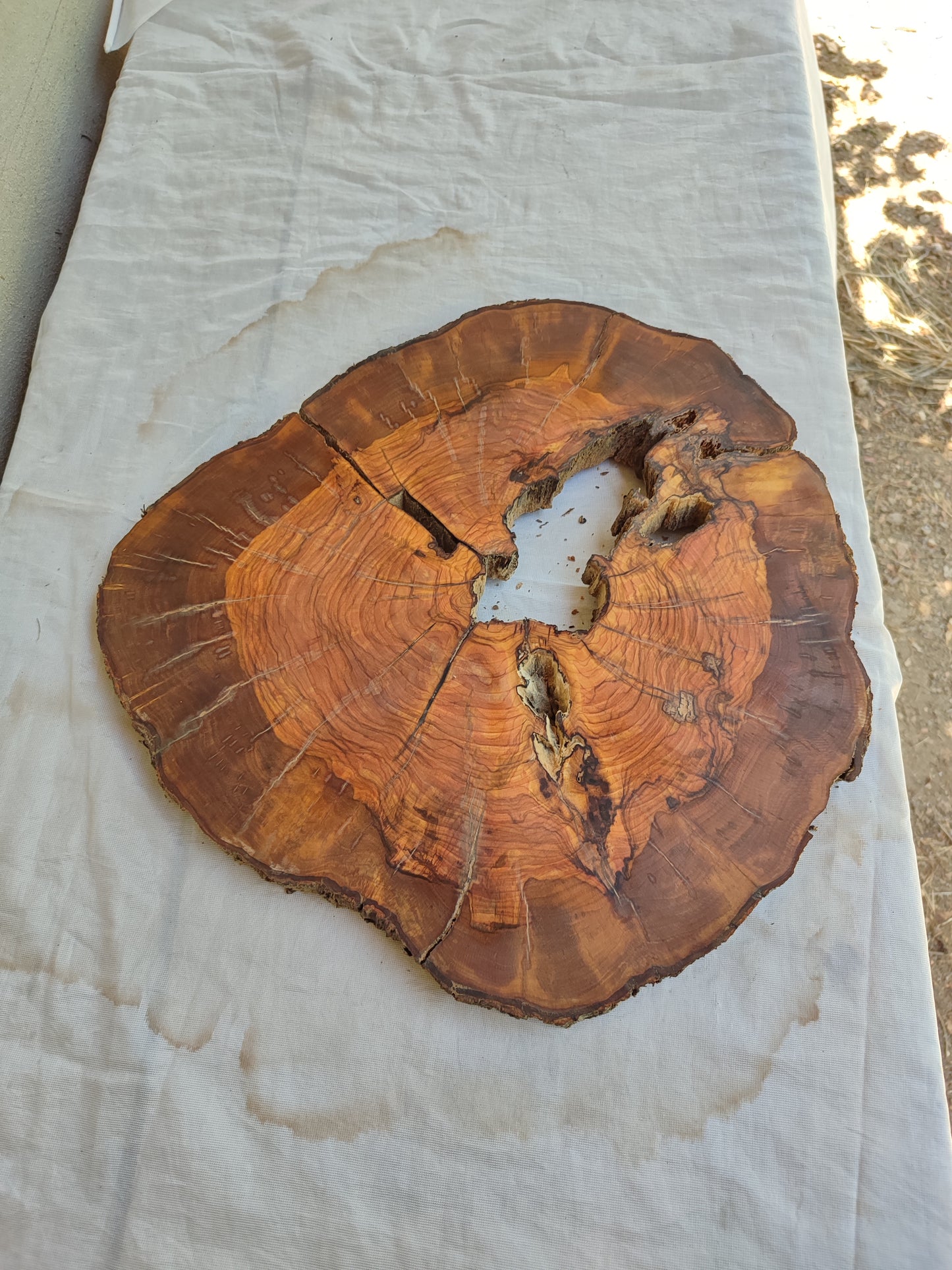 Rare Olive Wood Live Edge Slab – Unique Grain, Premium Natural Luster, 36x38x2.5 cm – Sustainable Luxury for Epoxy & Artisan Crafts