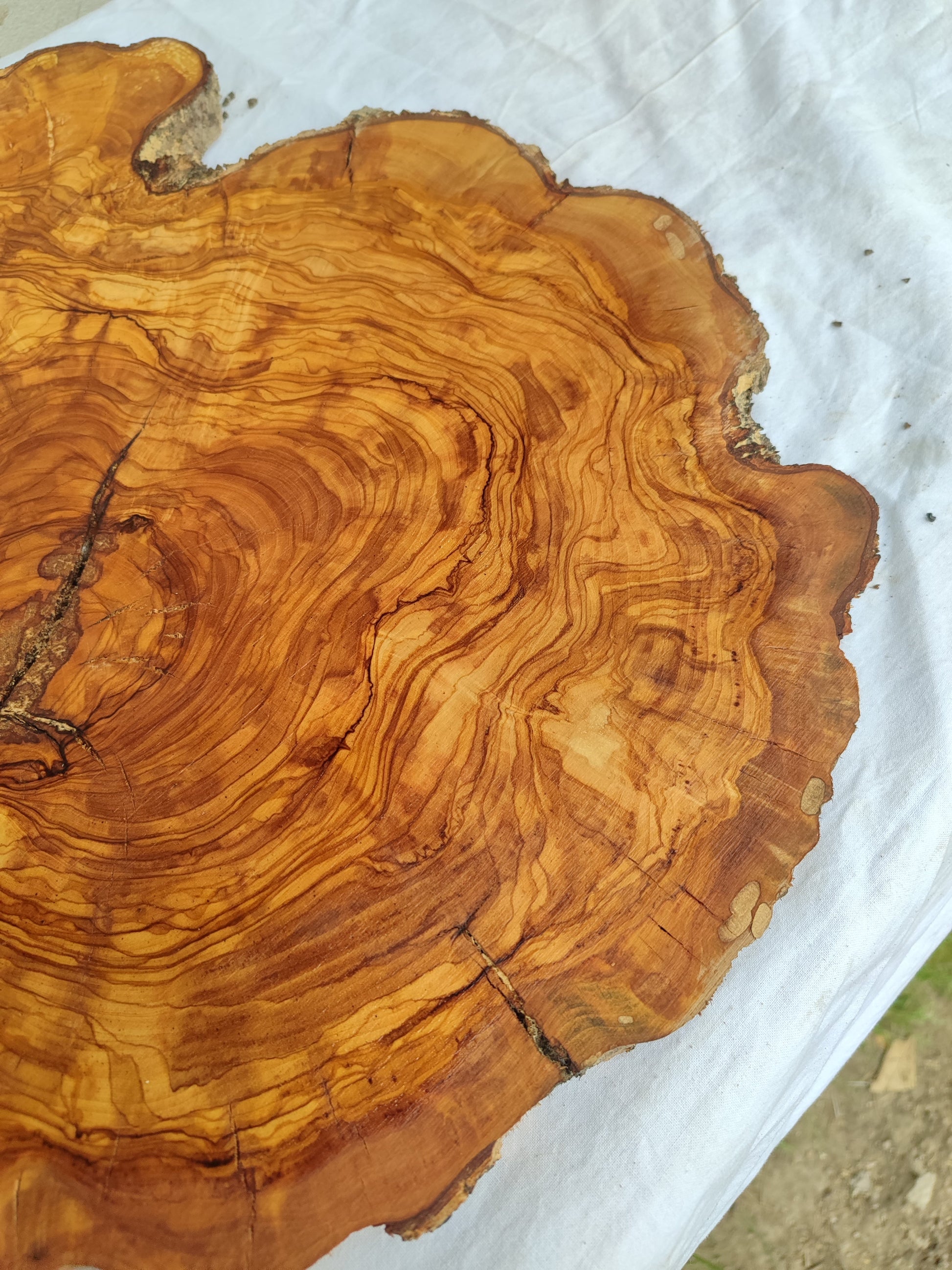 Rare Olive Wood Live Edge Slab – 40x44x2.5cm Unique Grain Sustainable Luxury - Olive Generic
