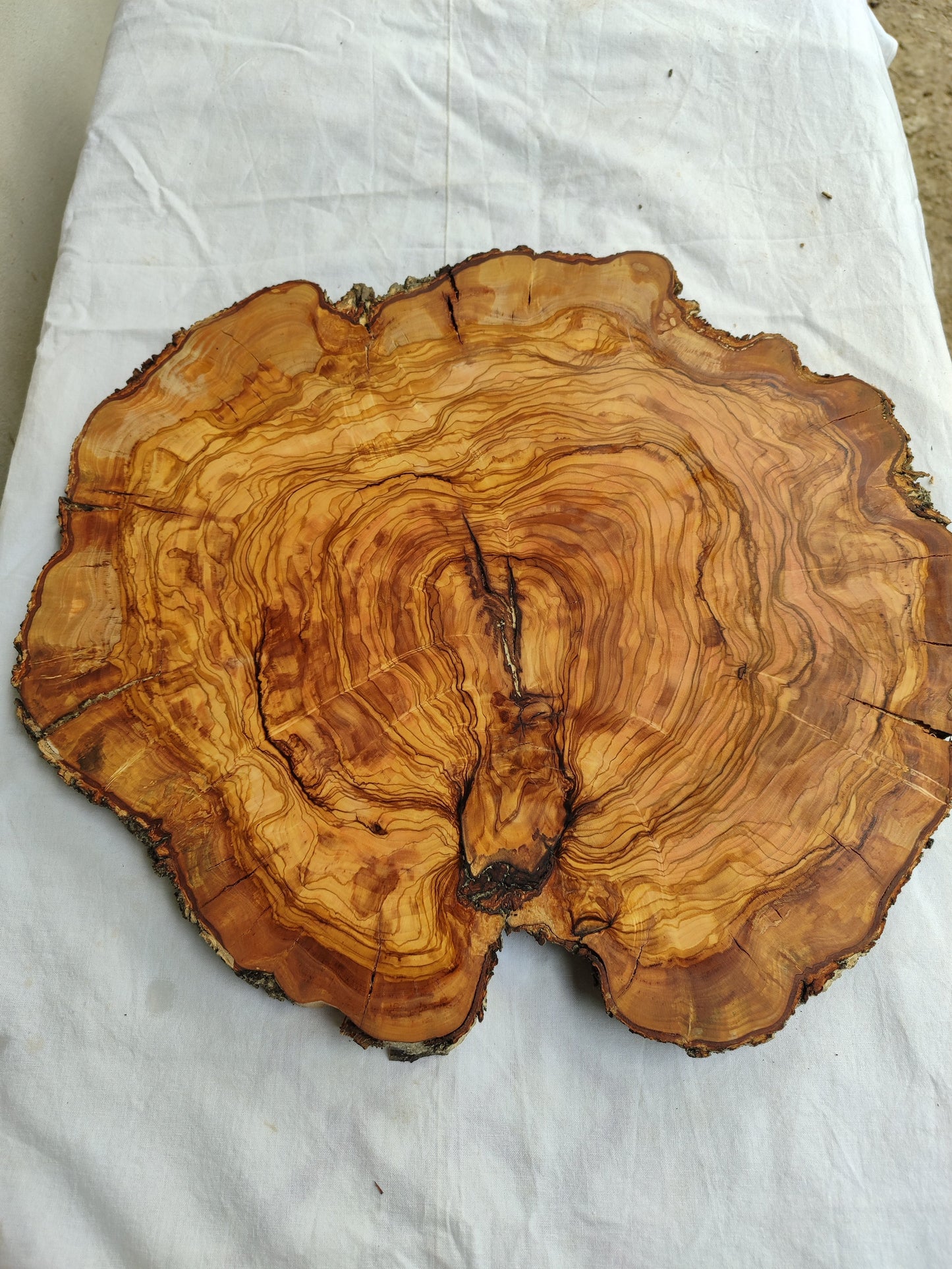Rare Olive Wood Live Edge Slab – 42x43x2.5 cm Unique Grain Sustainable Luxury Premium Natural Finish Epoxy Friendly