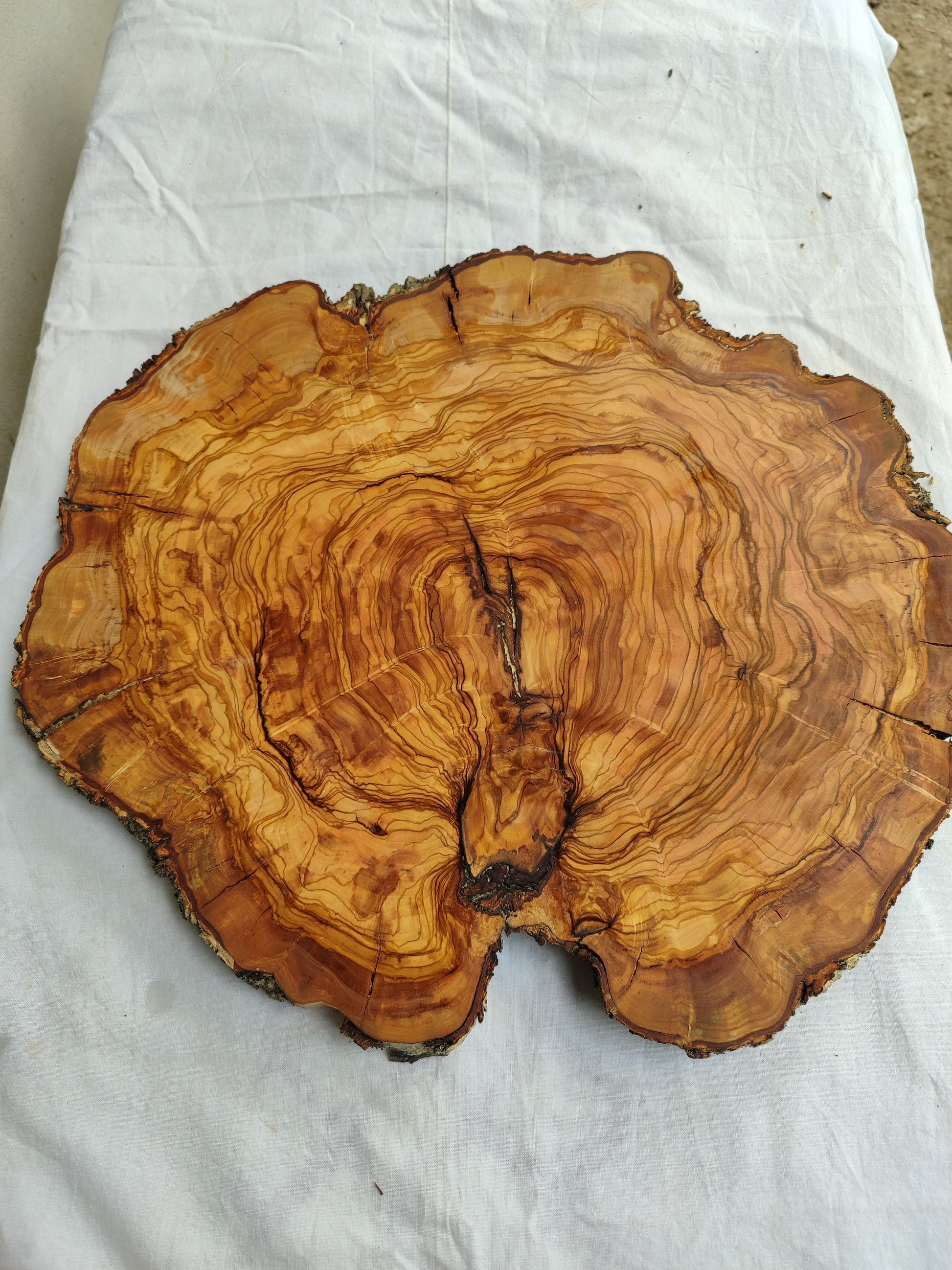 Rare Olive Wood Live Edge Slab – 42x43x2.5 cm Unique Grain Sustainable Luxury Premium Natural Finish Epoxy Friendly