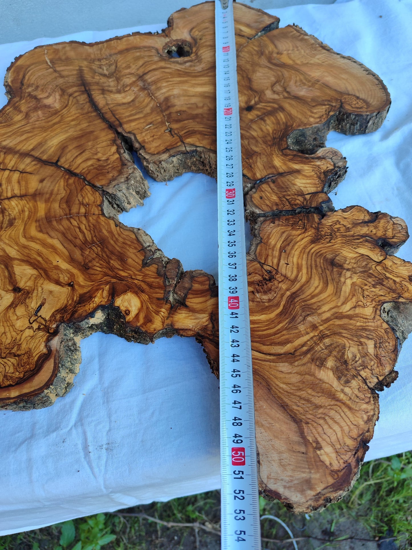 Rare Ancient Olive Wood Slab 43x53cm Live Edge Lumber for Epoxy Resin.