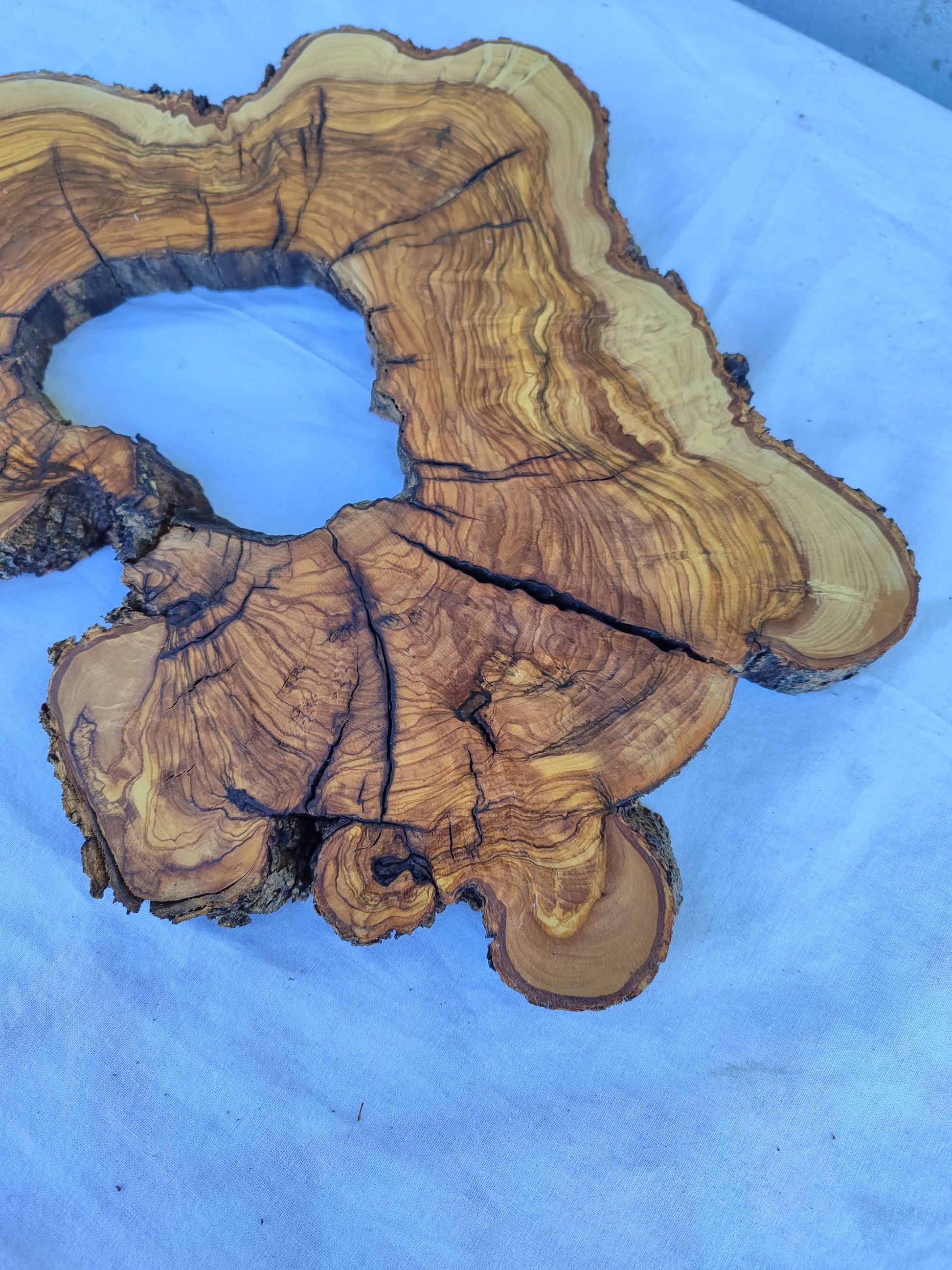 Rare Olive Wood Live Edge Slab 28x40cm | Exotic Epoxy Resin & Luthier Wood | Super Dry 3% Moisture | Sustainable Luxury