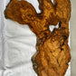 Rare Olive Wood Live Edge Slab 46x66cm - Super Dry Unique Grain for Epoxy Resin Art, Coffee Table & Luthier Craft - Sustainable Luxury.