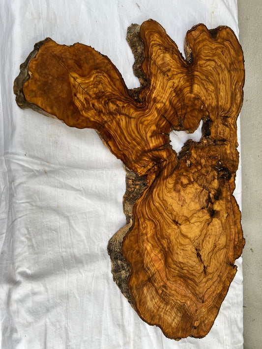 Rare Olive Wood Live Edge Slab 46x66cm - Super Dry Unique Grain for Epoxy Resin Art, Coffee Table & Luthier Craft - Sustainable Luxury.
