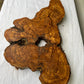 Rare Olive Wood Slab 28x52cm | Dry Live Edge Burl for Resin Art, Clock & Luthier | Unique Grain Sustainable Luxury Woodworking Material.