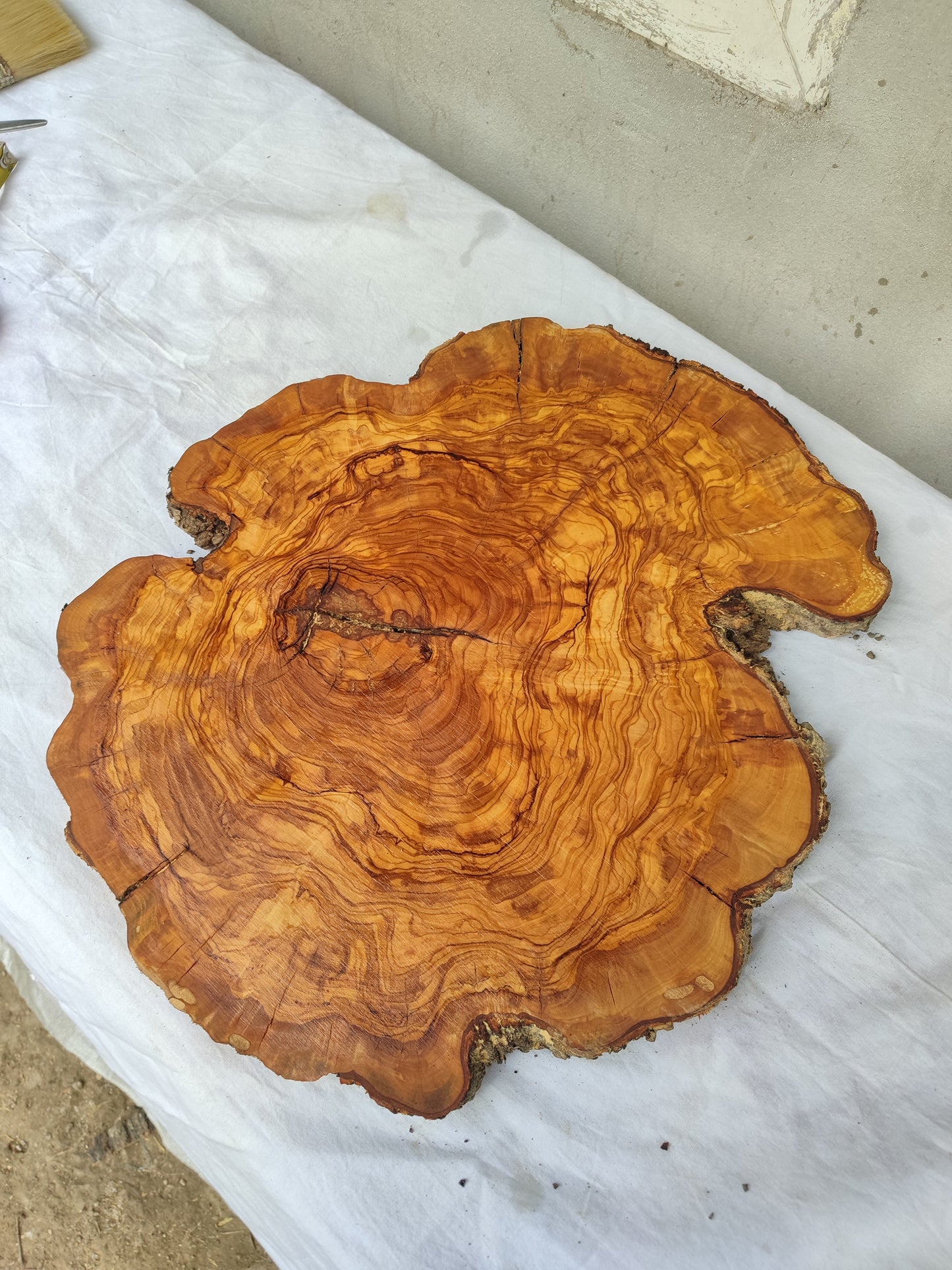 Rare Olive Wood Live Edge Slab – 40x44x2.5cm Unique Grain Sustainable Luxury - Olive Generic