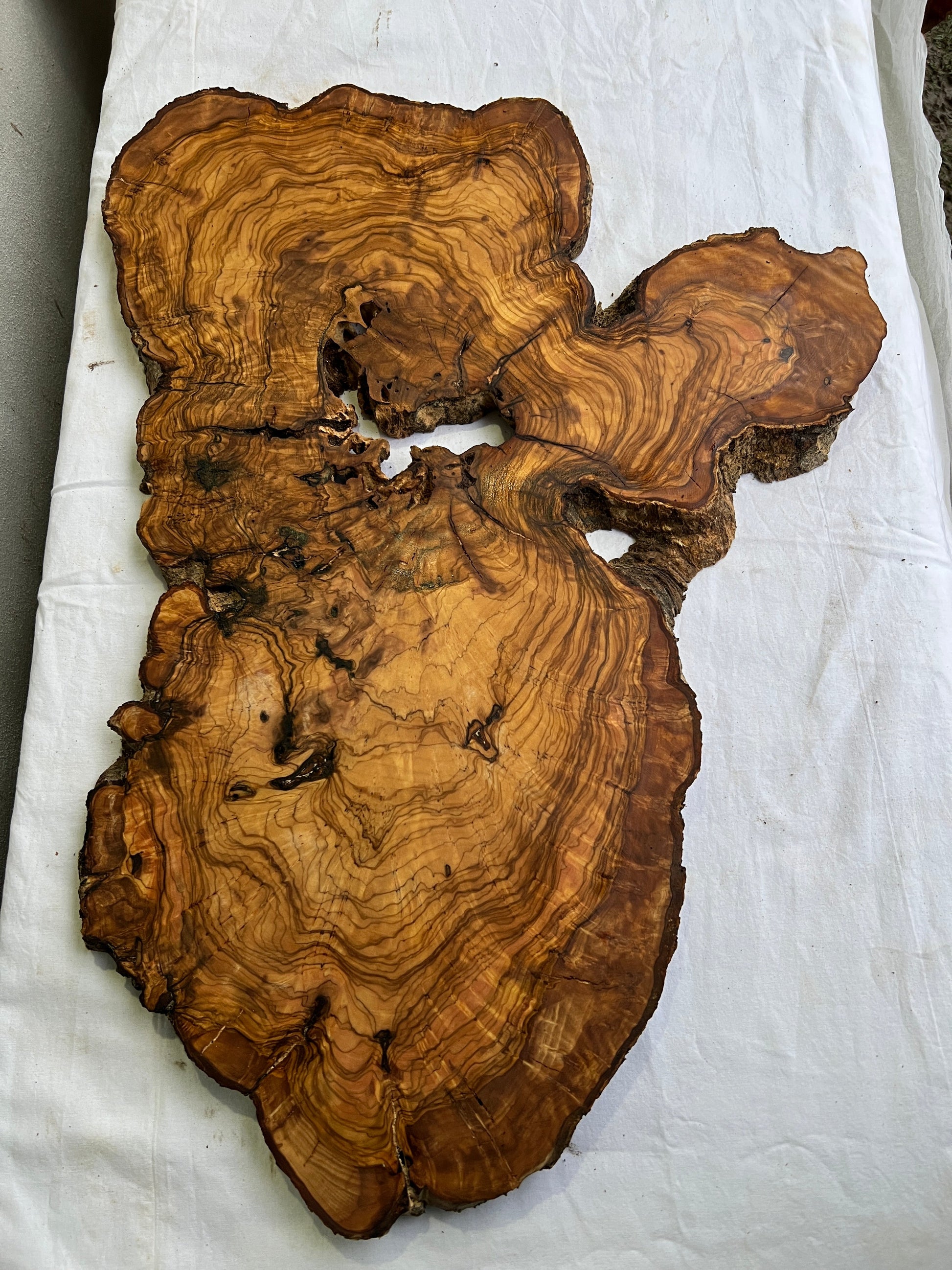 Rare Olive Wood Slab 42x65cm | Live Edge for Epoxy Resin & Wall Art | Unique Grain Sustainable Luxury | Super Dry DIY Craft Wood.