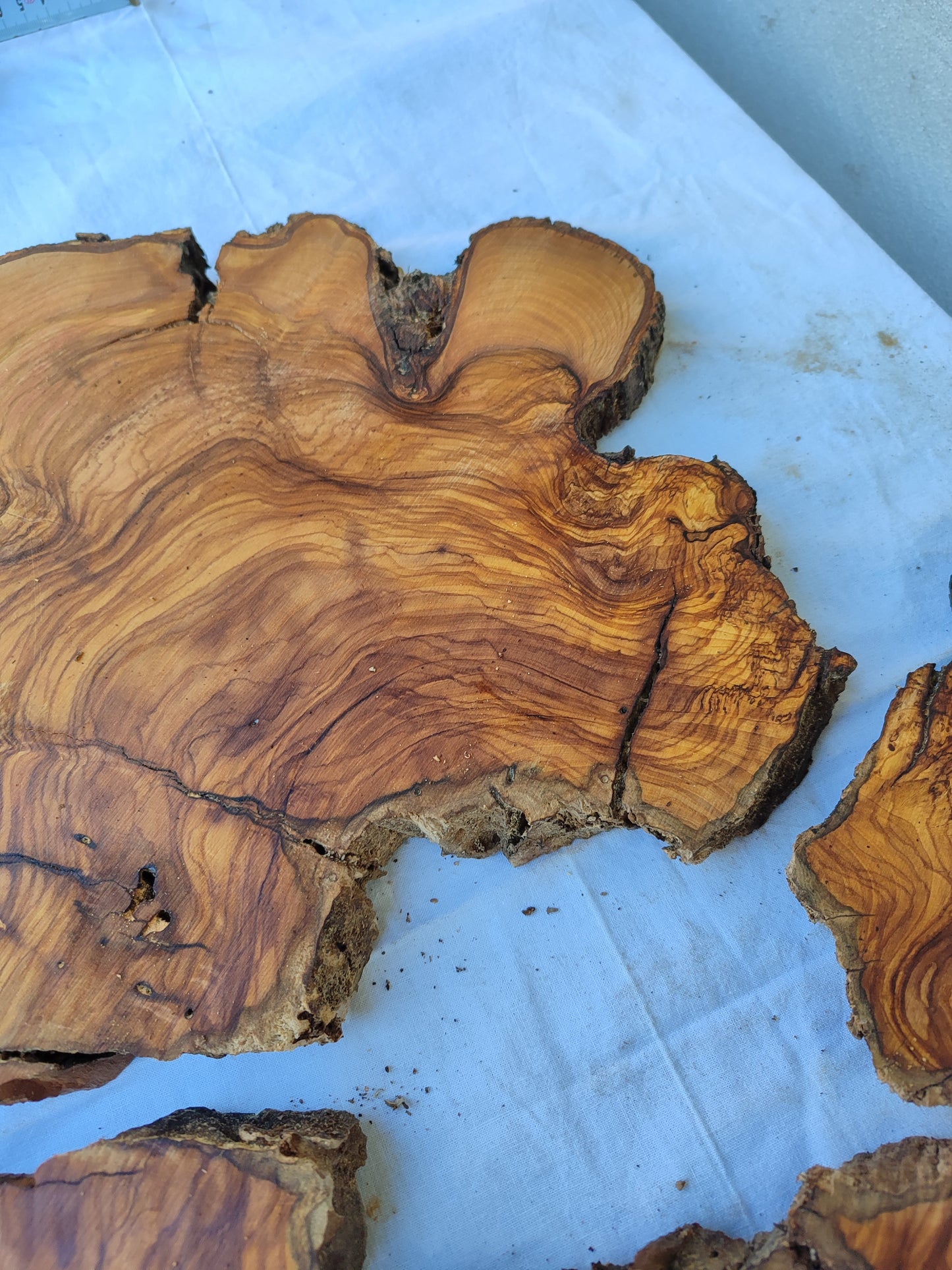 Rare Olive Wood Slab 51x53cm | Premium Live Edge for Epoxy Resin, Clock, Guitar Body | Ultra Dry Sustainable Luxury DIY Lumber.
