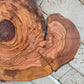Rare Live Edge Olive Wood Slab – 33x40cm, Unique Grain, Natural Luster, Sustainable Luxury for Epoxy & Crafts