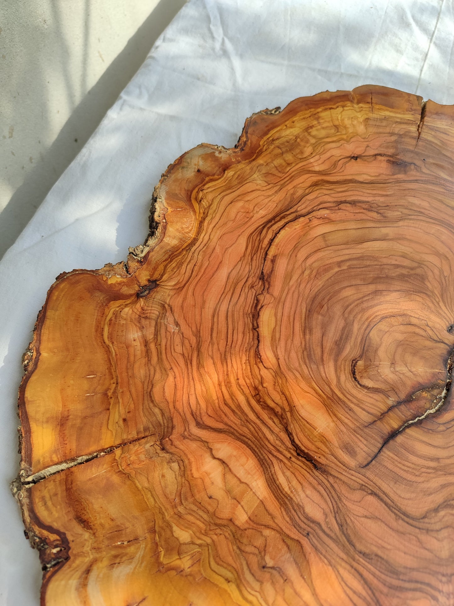 Rare Olive Wood Slab – Live Edge Unique Grain Sustainable Luxury for Epoxy Table & Craft - Olive Generic