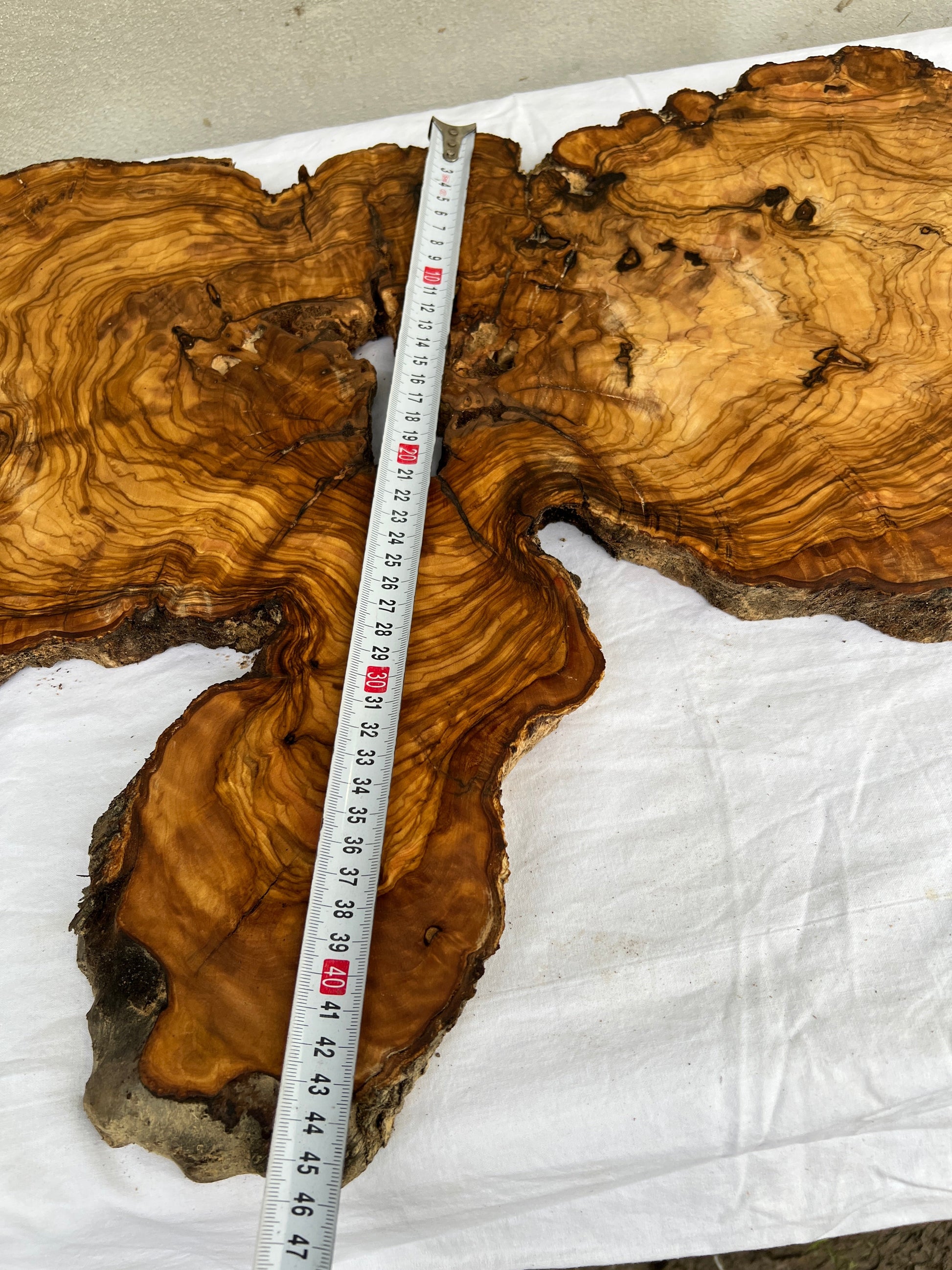 Rare Live Edge Olive Wood Slab (44x64cm) - Super Dry Epoxy Resin Lumber for Coffee Table, Clock & Guitar Body - Unique Natural Grain Art.
