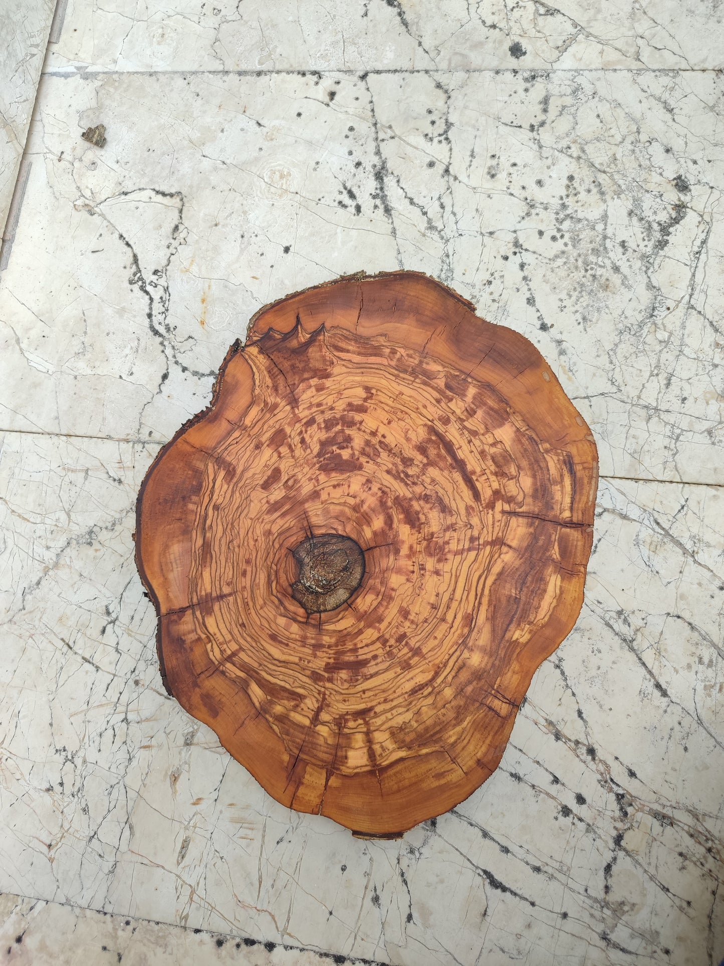Rare Olive Wood Slab – Live Edge, Unique Grain, Sustainable Luxury – Premium Natural Luster for Epoxy & Artisan Crafts (31x37x2.5 cm)