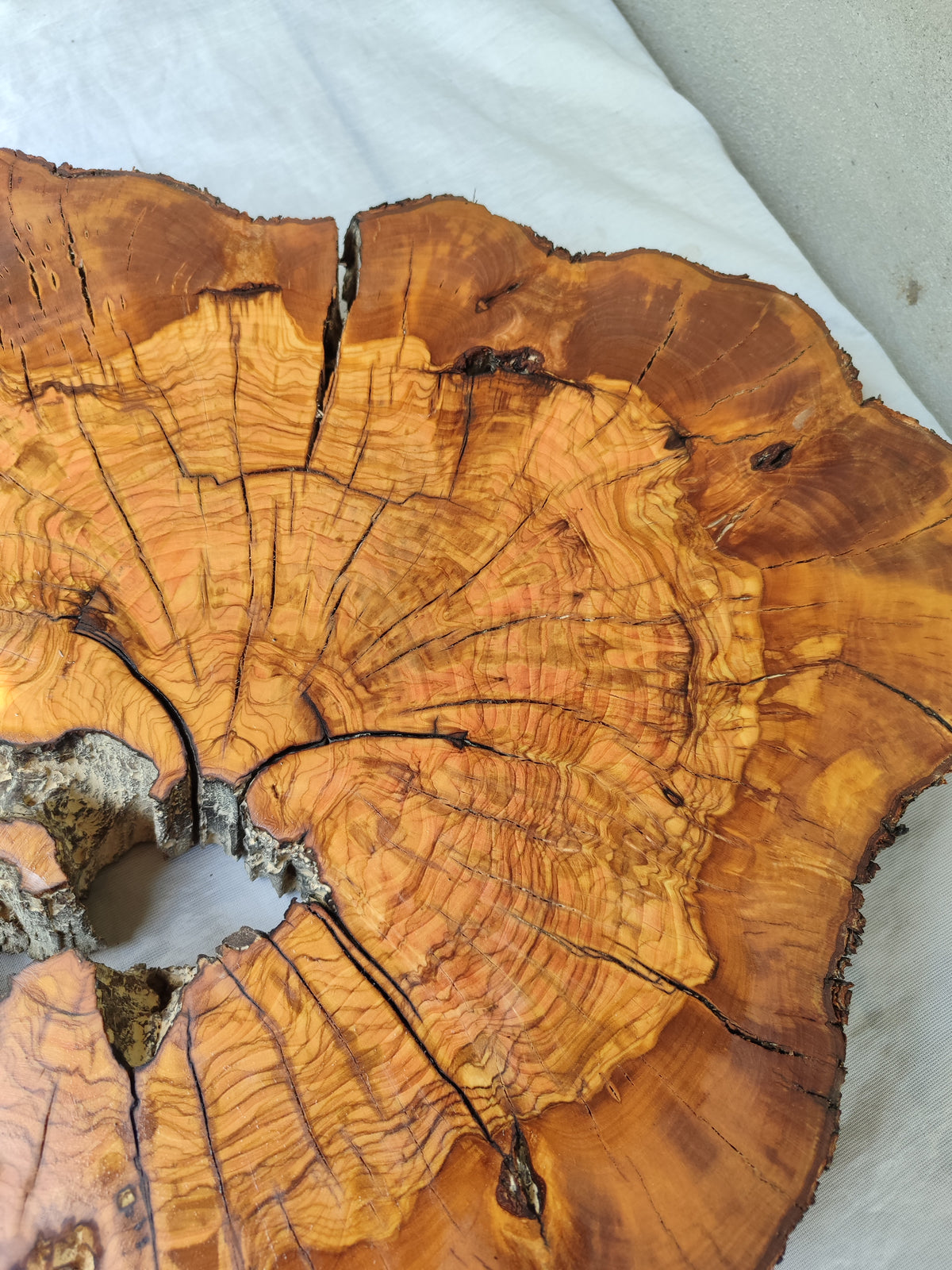 Thick Olive Wood Slab Live Edge 43x44x6cm Epoxy Statement
