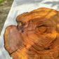 Rare Olive Wood Live Edge Slab – Unique Grain Sustainable Luxury for Epoxy Table & Craft - Olive Generic