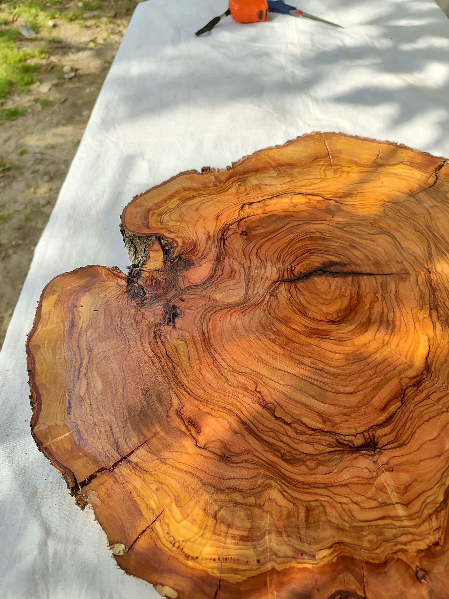 Rare Olive Wood Live Edge Slab – Unique Grain Sustainable Luxury for Epoxy Table & Craft - Olive Generic