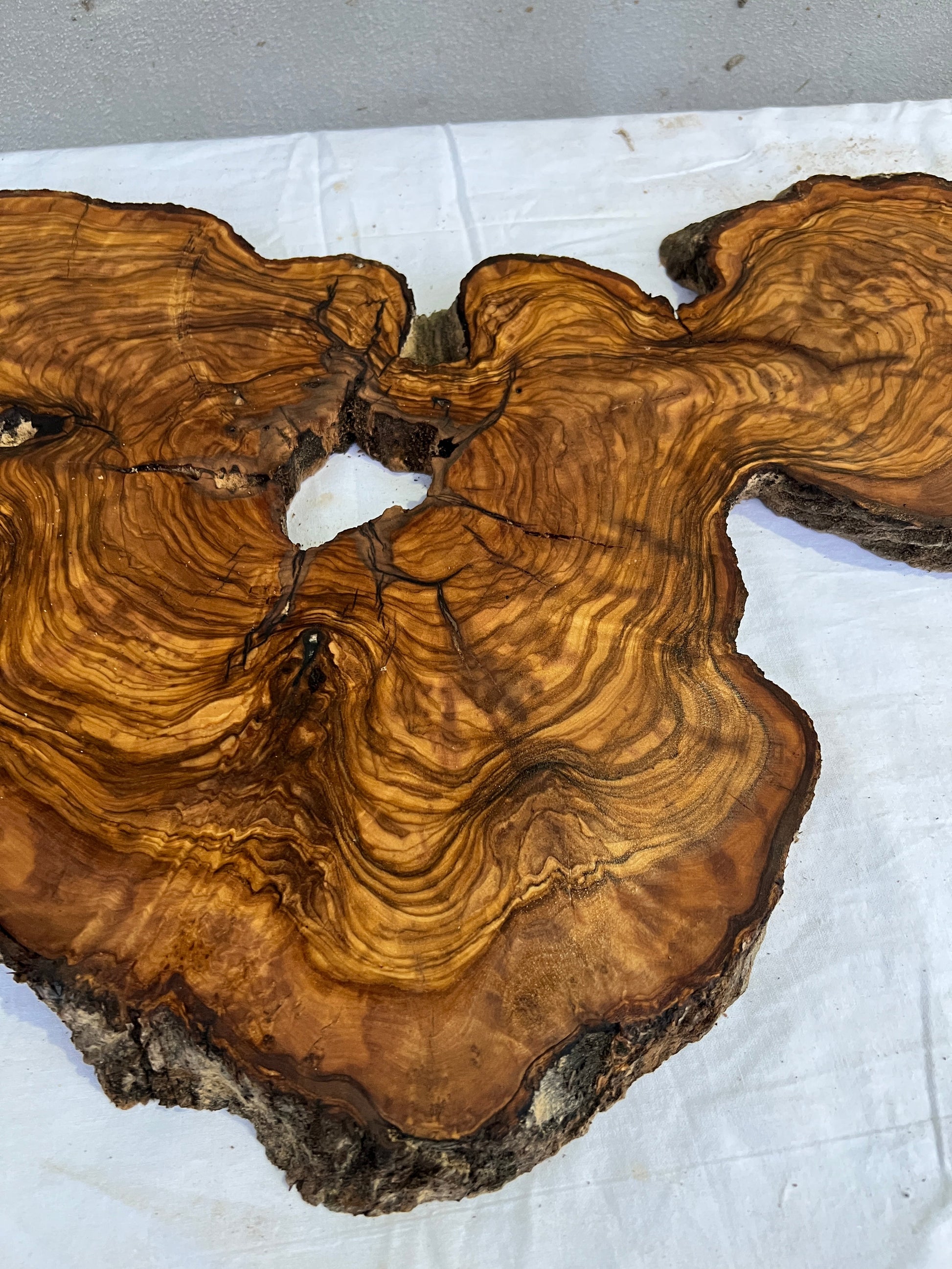 Rare Olive Wood Slab 31x55cm for Epoxy Resin & Guitar Body | Live Edge Sustainable Luxury | Unique Grain Luthier Wood | Super Dry DIY Art.