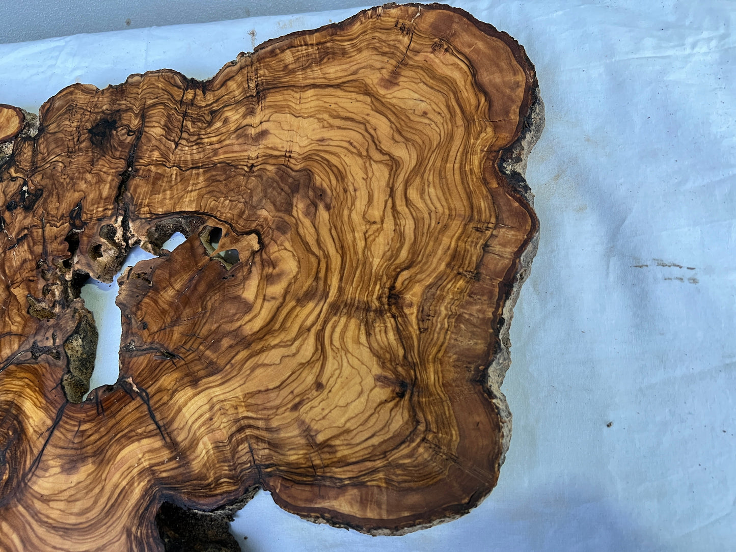 Rare Olive Wood Slab 42x65cm | Live Edge for Epoxy Resin & Wall Art | Unique Grain Sustainable Luxury | Super Dry DIY Craft Wood.