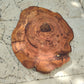 Rare Olive Wood Slab – Live Edge, Unique Grain – 32x38x2.5cm – Sustainable Luxury for Epoxy, Coffee Table & Guitar