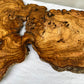 Rare Live Edge Olive Wood Slab (44x64cm) - Super Dry Epoxy Resin Lumber for Coffee Table, Clock & Guitar Body - Unique Natural Grain Art.