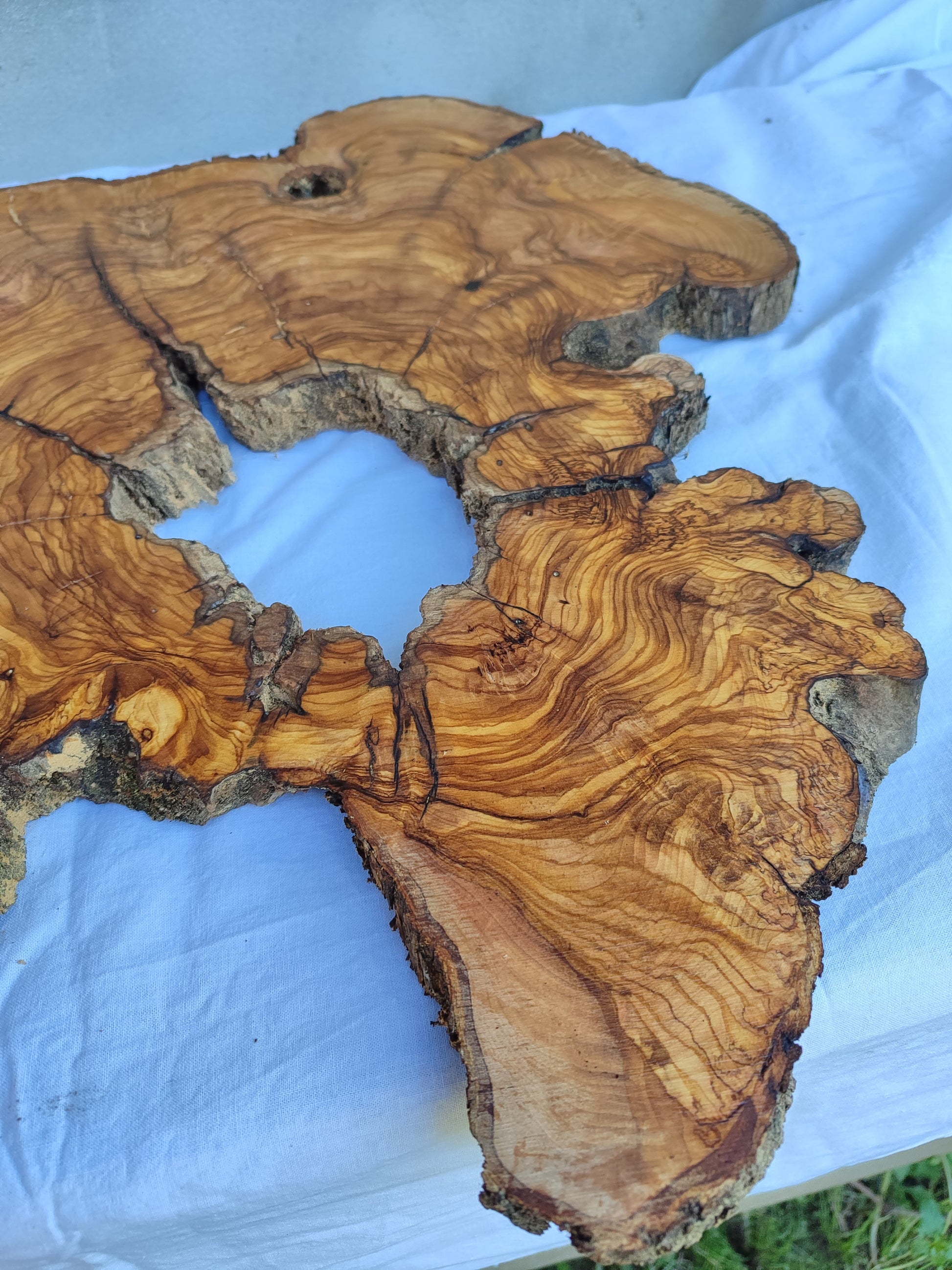 Rare Ancient Olive Wood Slab 43x53cm Live Edge Lumber for Epoxy Resin.