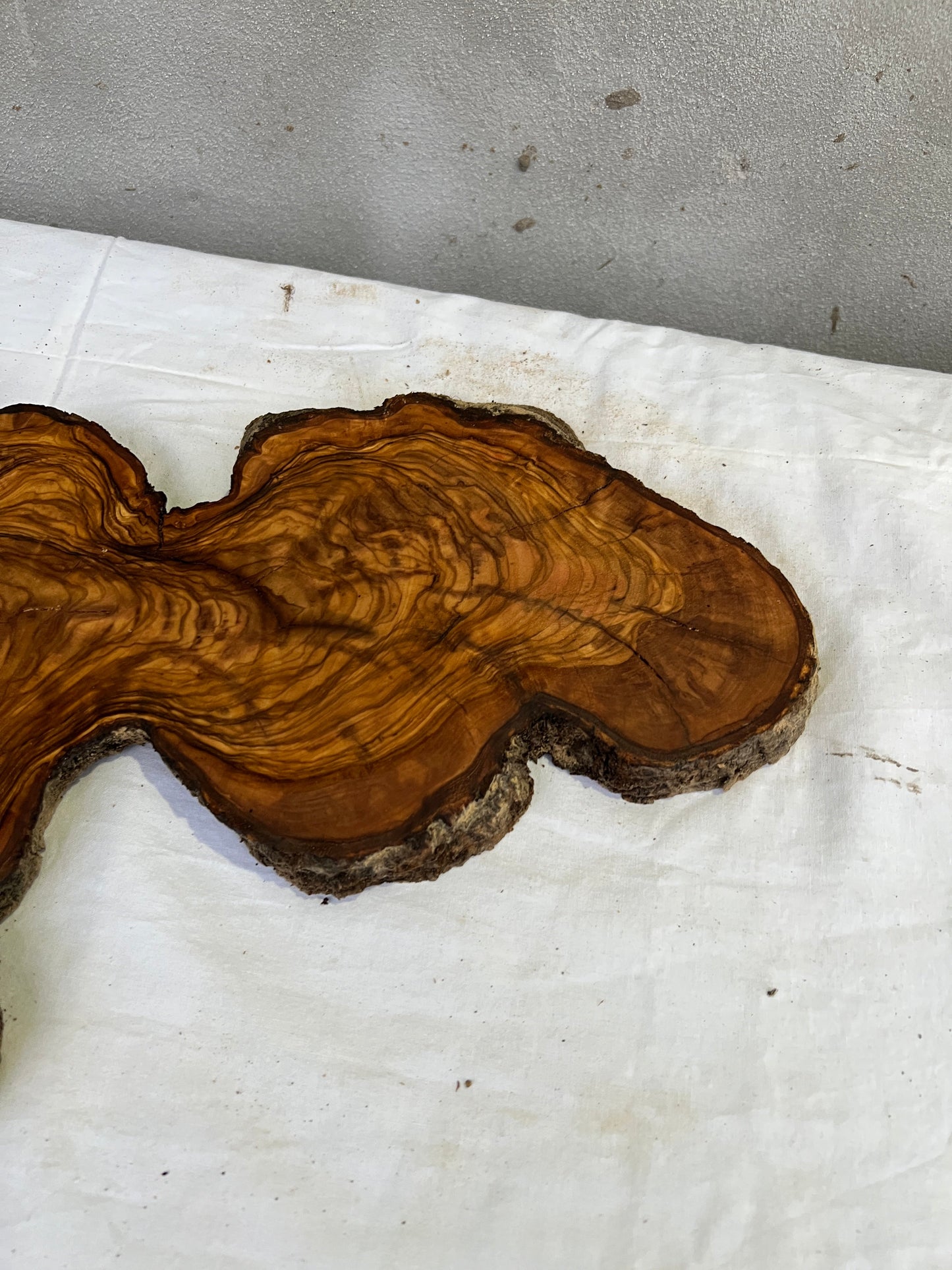 Rare Olive Wood Slab 31x55cm for Epoxy Resin & Guitar Body | Live Edge Sustainable Luxury | Unique Grain Luthier Wood | Super Dry DIY Art.