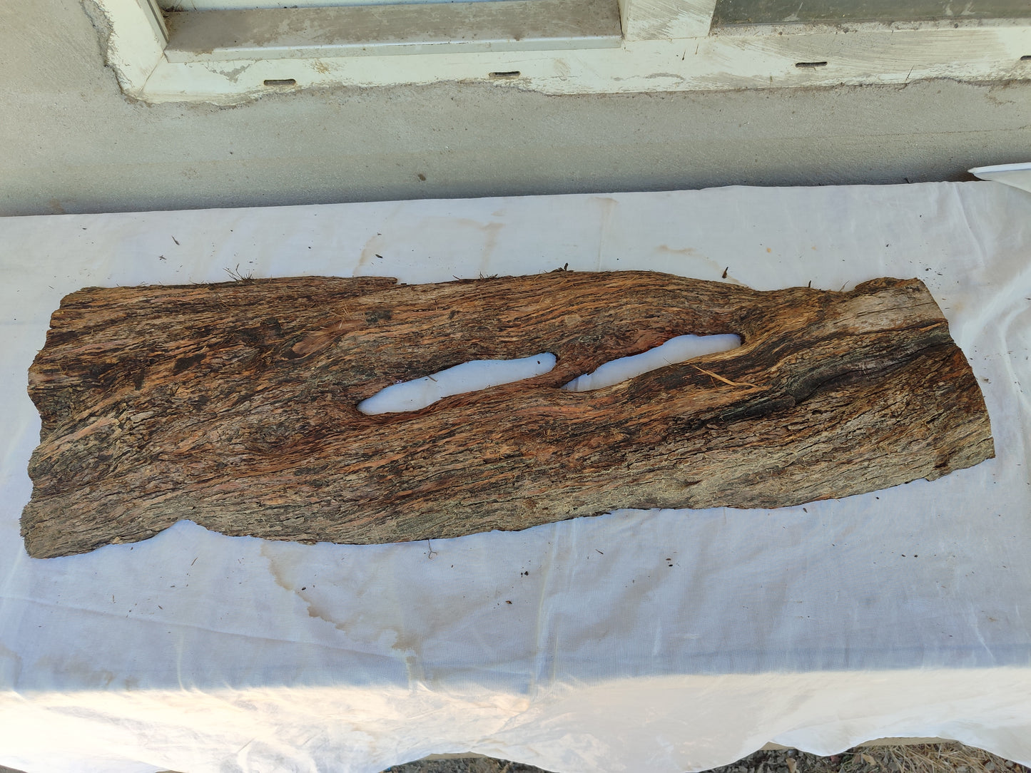 Rare Live Edge Olive Wood Slab – Unique Grain, Sustainable Luxury for Epoxy, Table & Crafts