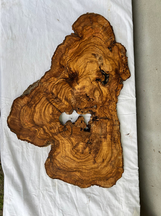 Rare Olive Wood Slab 40x64cm - Live Edge for Epoxy Resin Table & Wall Art - Super Dry Luthier Wood - Sustainable Luxury Unique Grain.