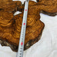 Rare Olive Wood Slab 31x55cm for Epoxy Resin & Guitar Body | Live Edge Sustainable Luxury | Unique Grain Luthier Wood | Super Dry DIY Art.