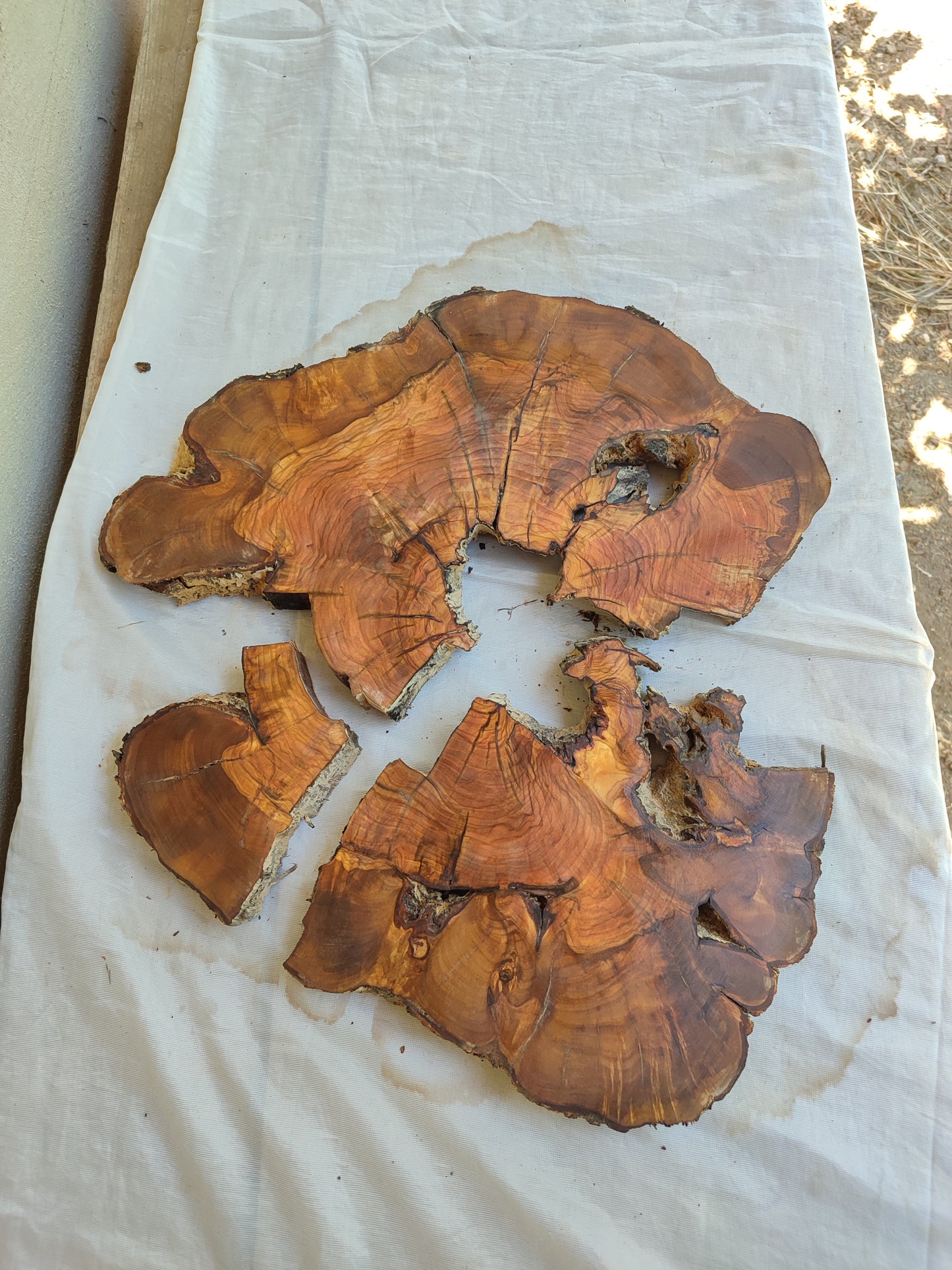 Rare Olive Wood Slab – Live Edge, Unique Grain, Sustainable Luxury | 40x44x2.5 cm