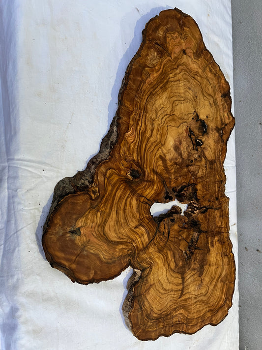 Rare Live Edge Olive Wood Slab 41x65cm | Unique Grain for Epoxy Resin, Luthier & Luxury Decor | Sustainable Premium DIY Material.