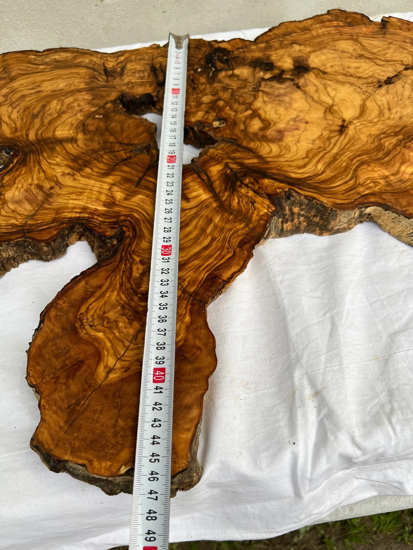 Rare Olive Wood Live Edge Slab 46x66cm - Super Dry Unique Grain for Epoxy Resin Art, Coffee Table & Luthier Craft - Sustainable Luxury.