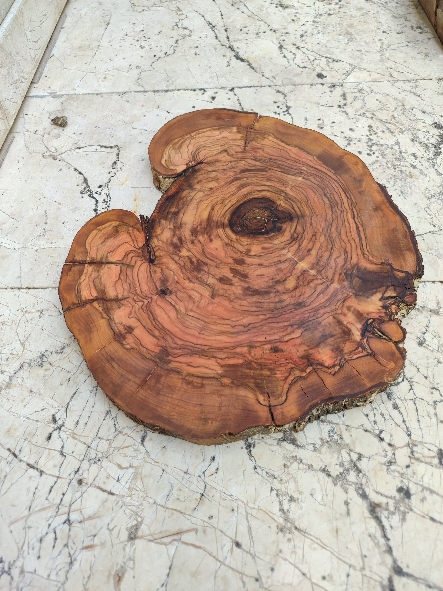 Rare Live Edge Olive Wood Slab - Premium 100% Natural - Unique Grain - Sustainable Luxury - 32x38x2.49 cm